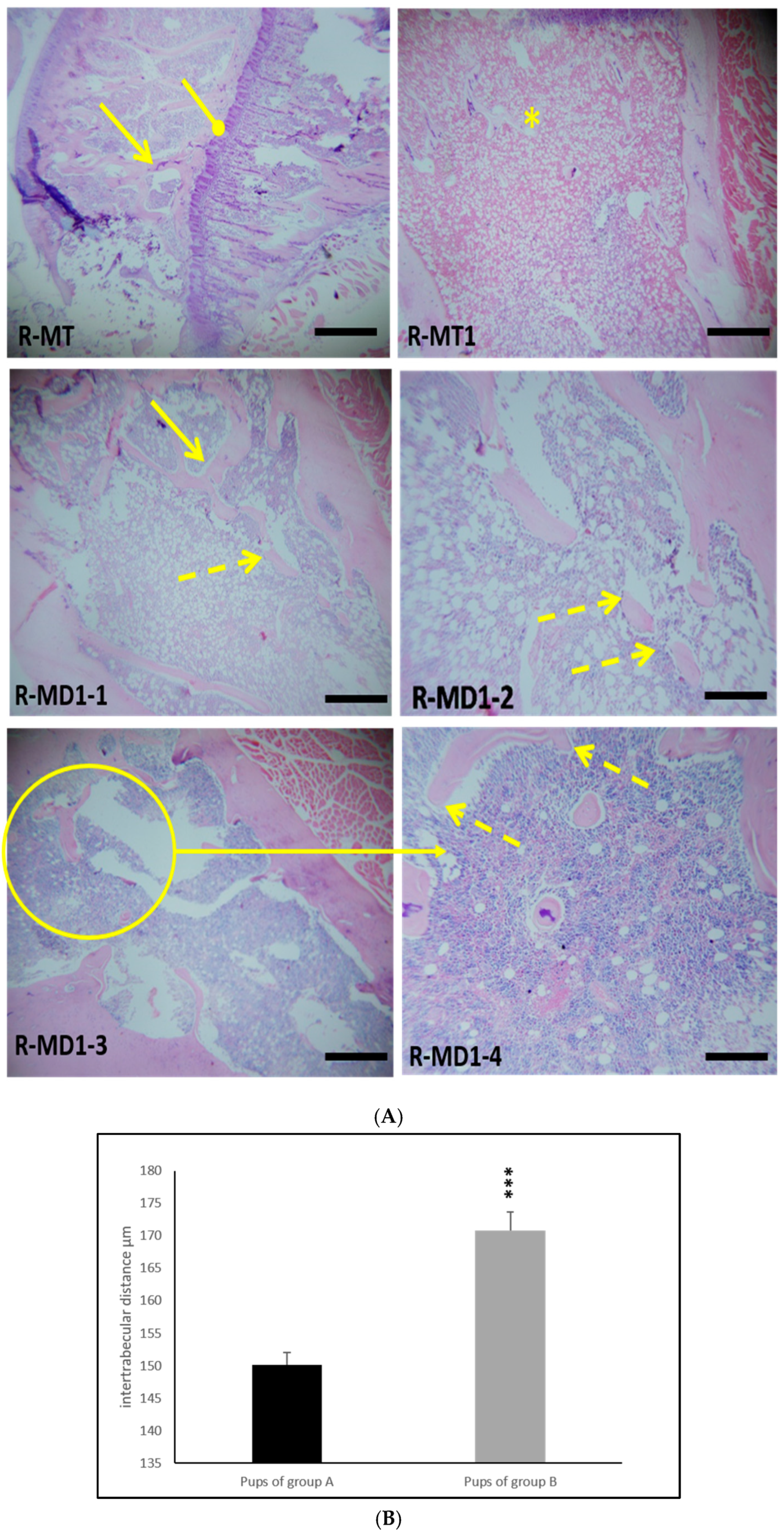 Toxics 13 00752 g003