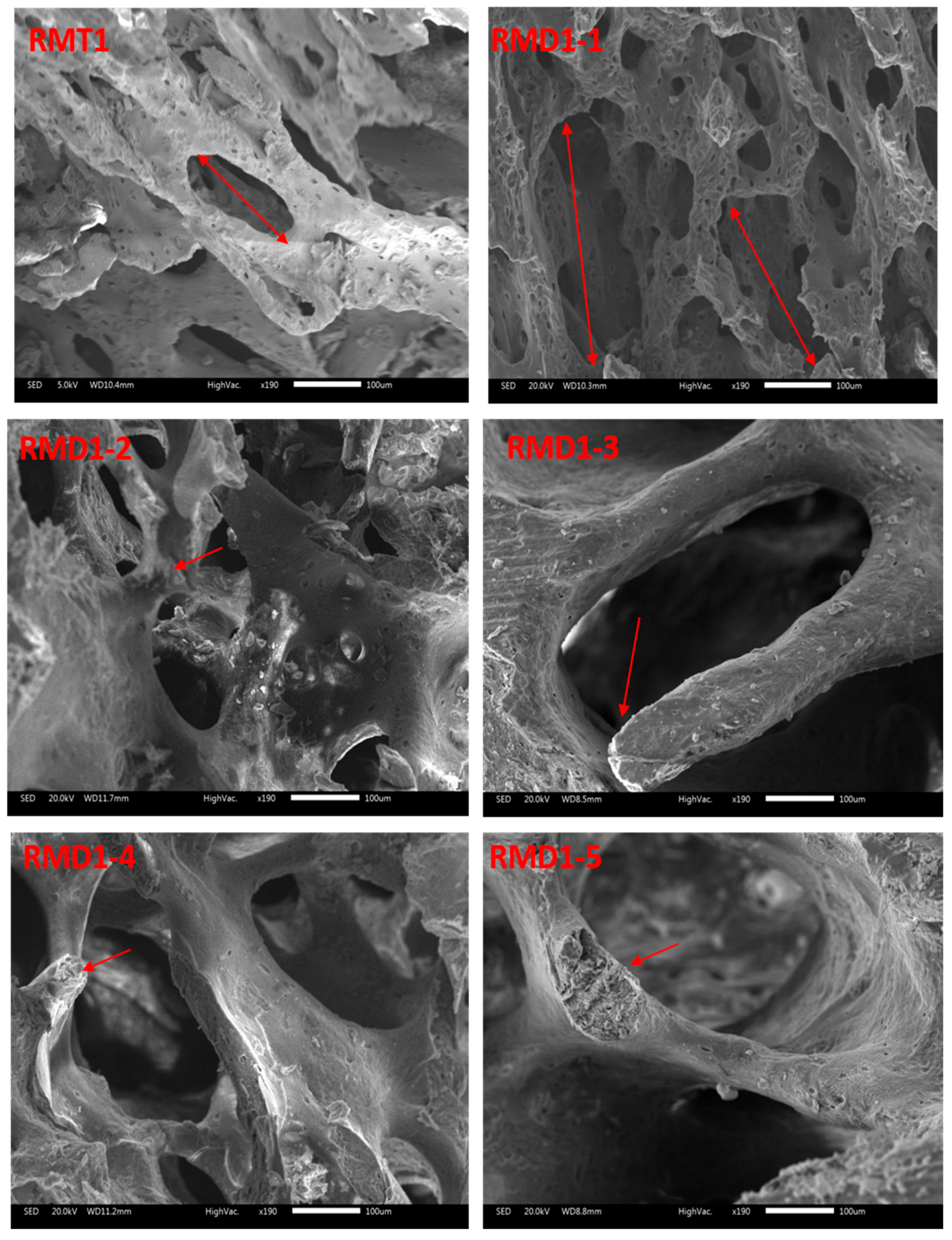 Toxics 13 00752 g004