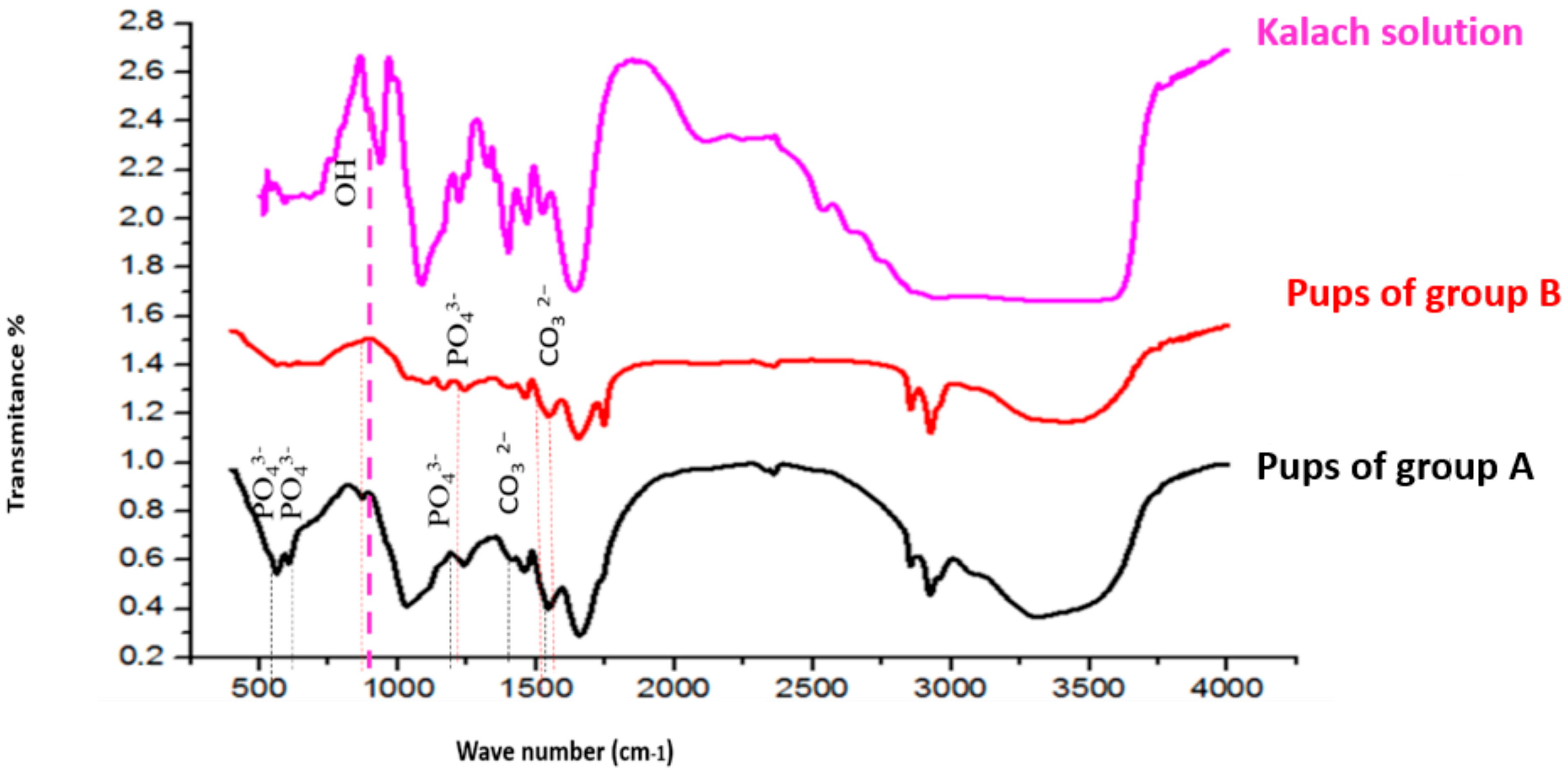 Toxics 13 00752 g005