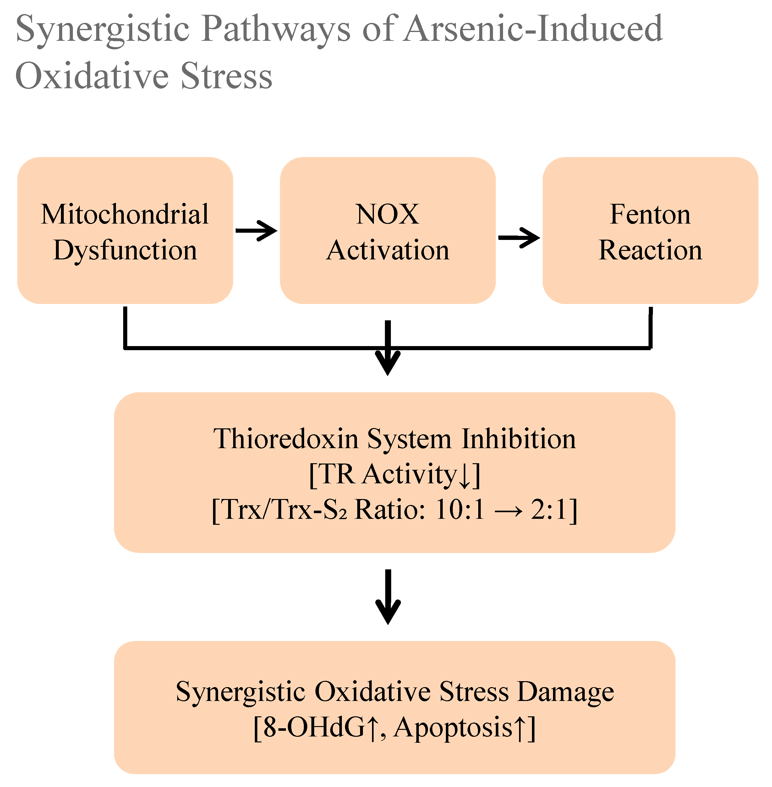 Toxics 13 00753 g002