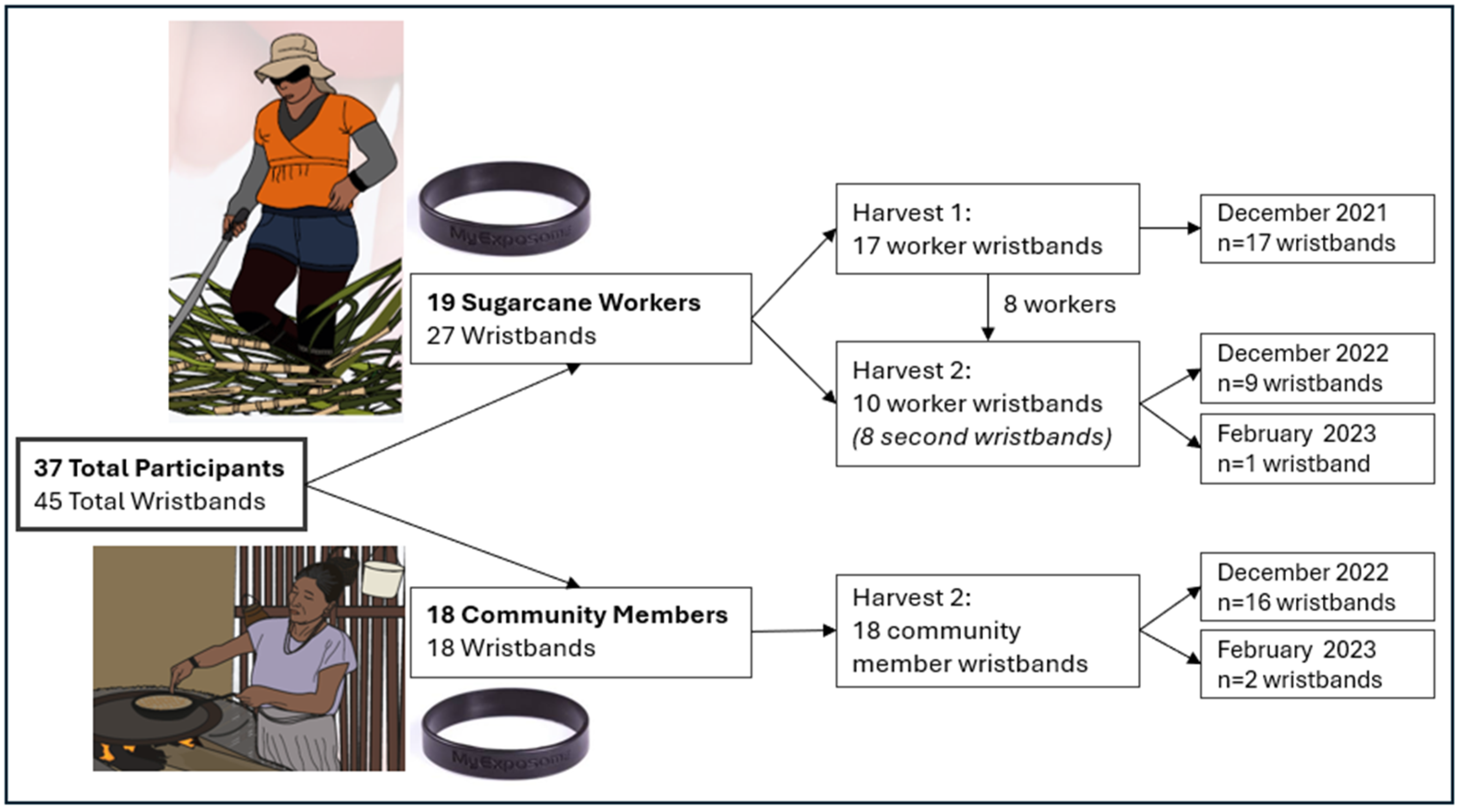 Toxics 13 00761 g001