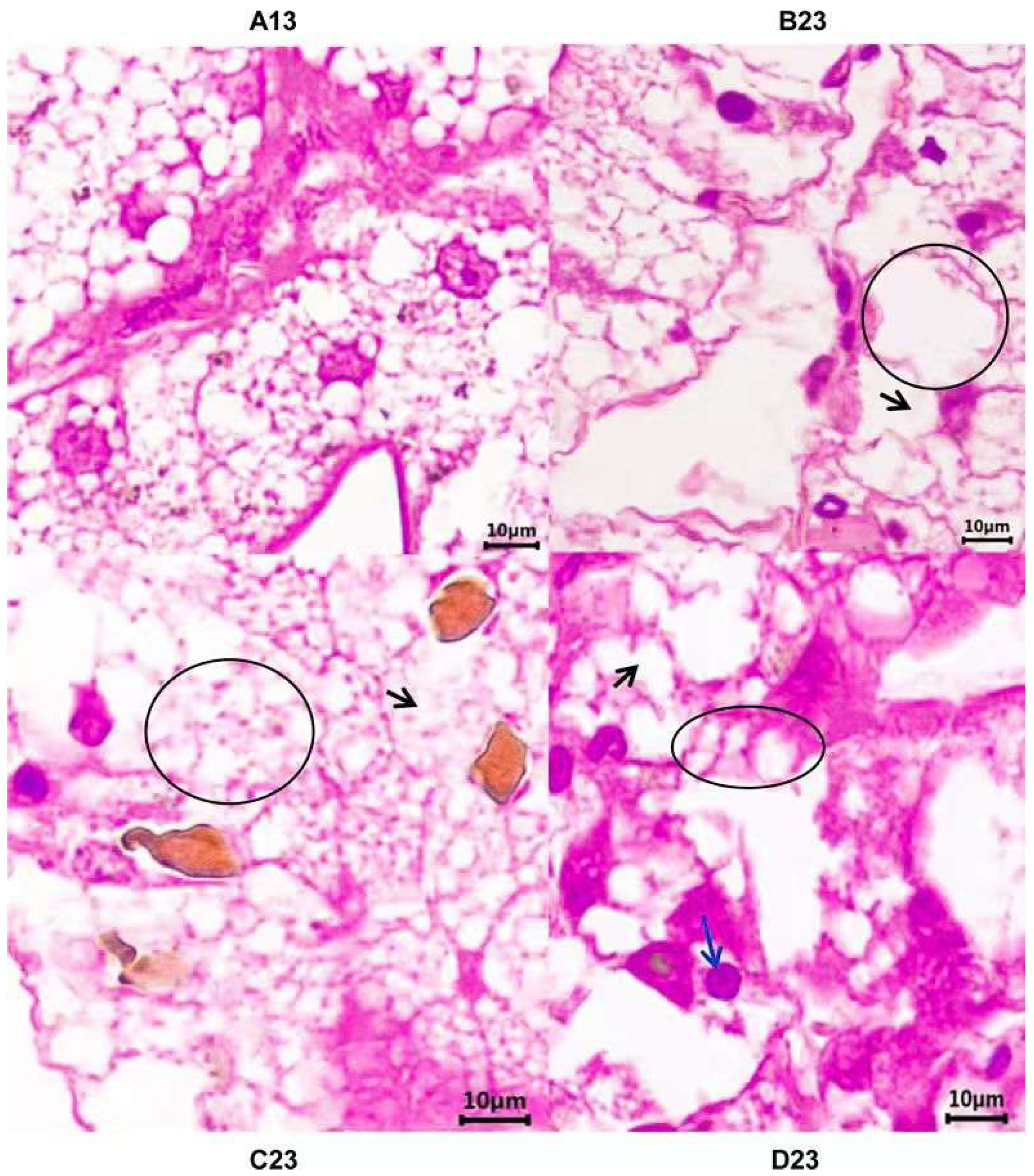 Toxics 13 00765 g001