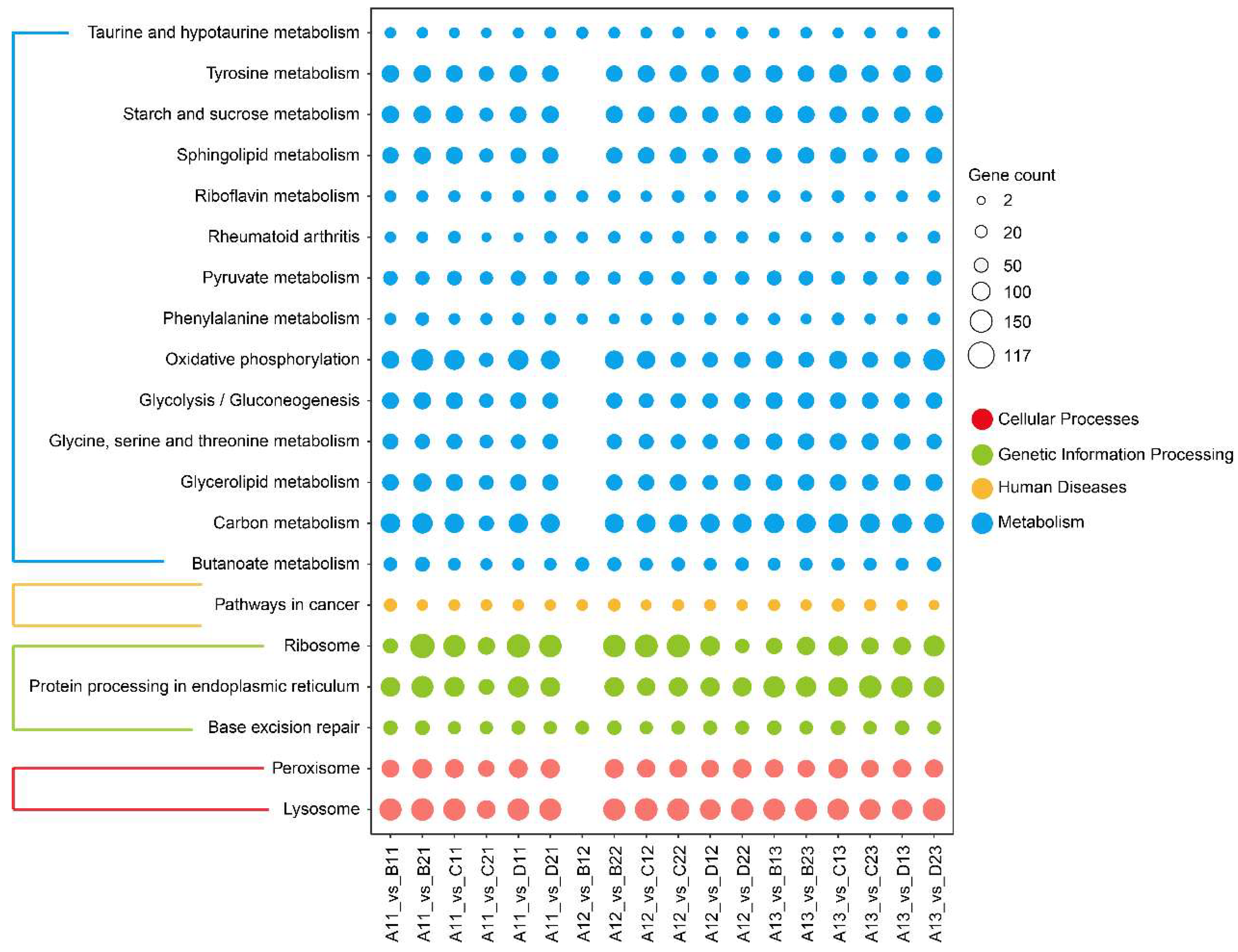Toxics 13 00765 g002