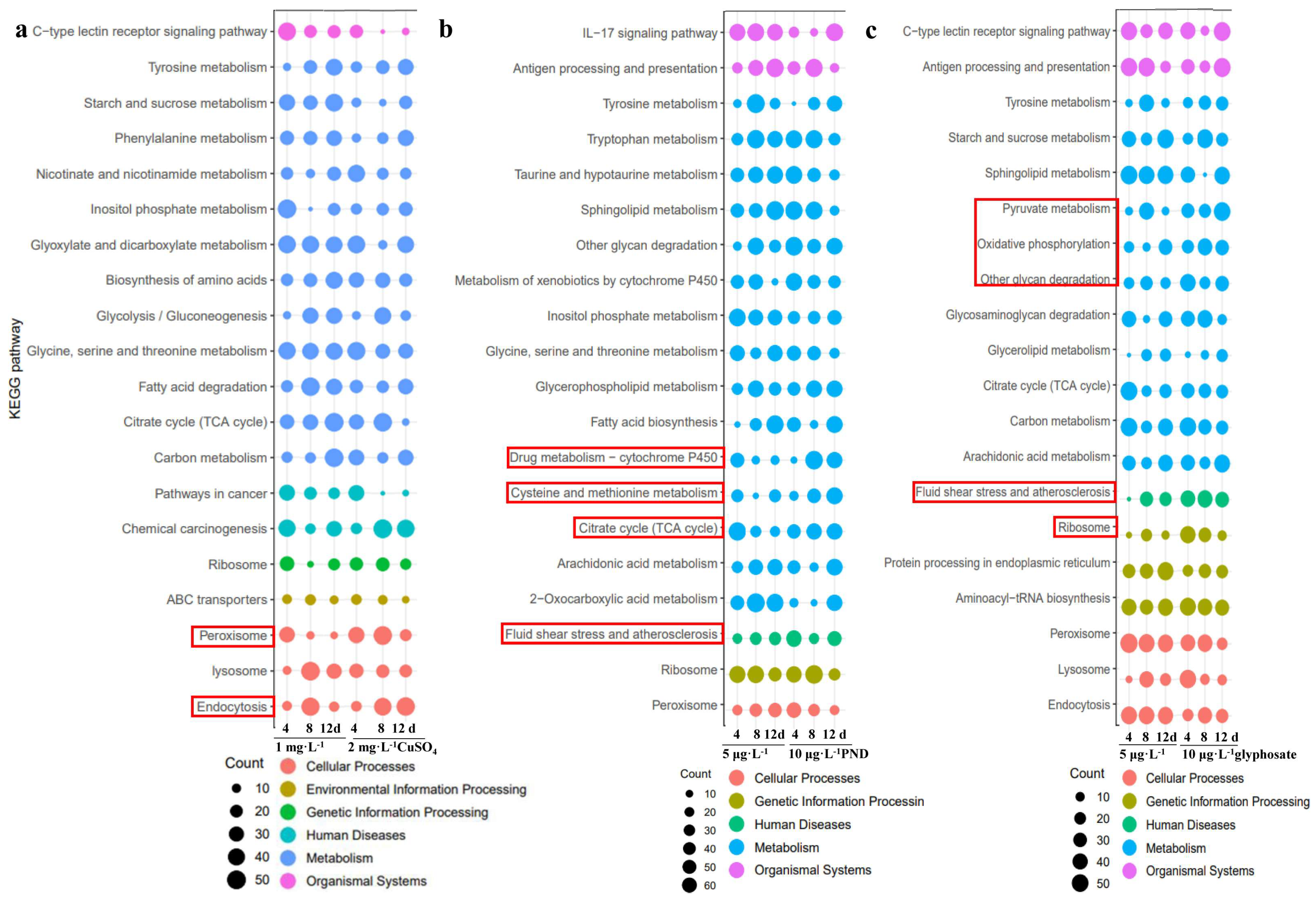 Toxics 13 00765 g003