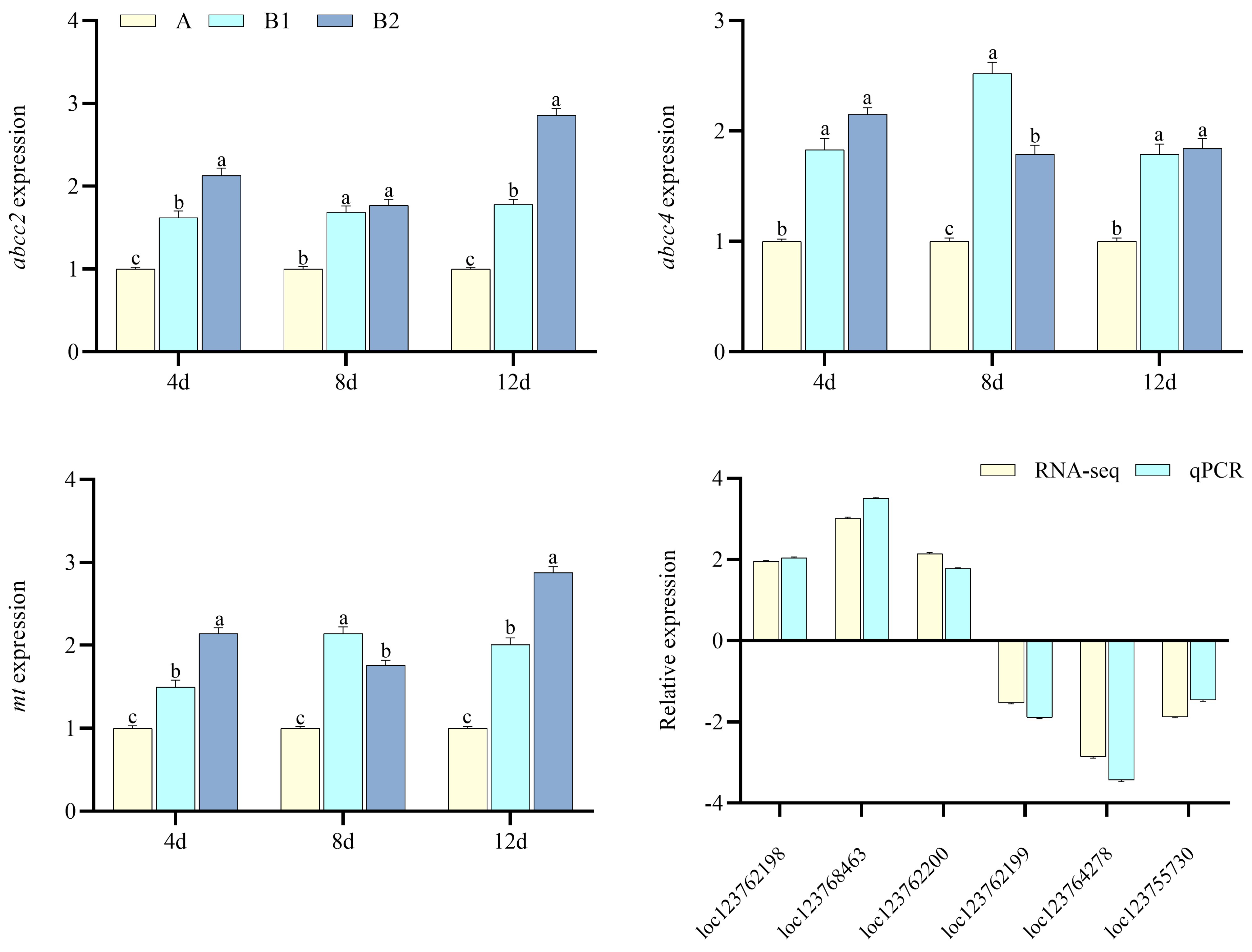 Toxics 13 00765 g004