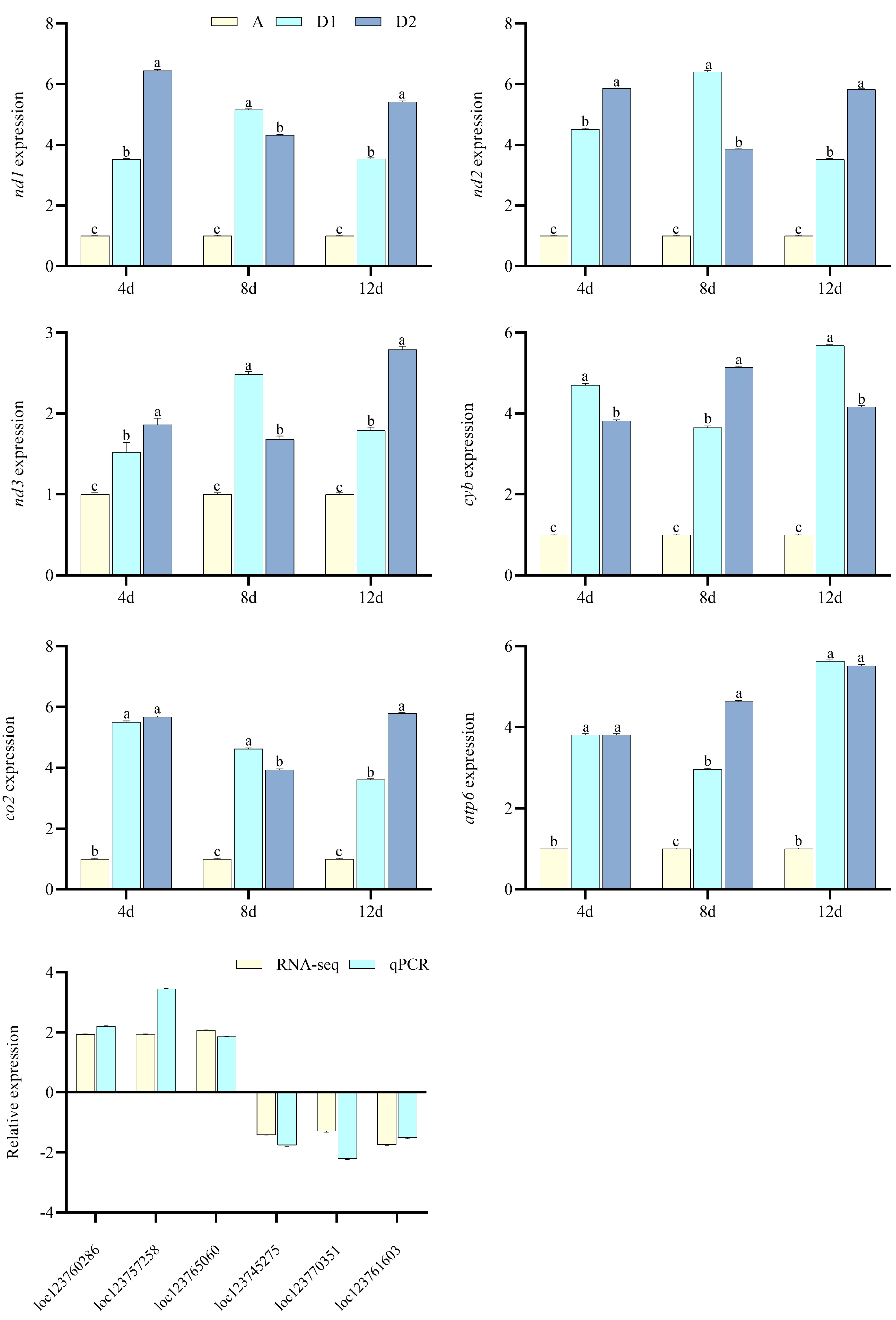 Toxics 13 00765 g006
