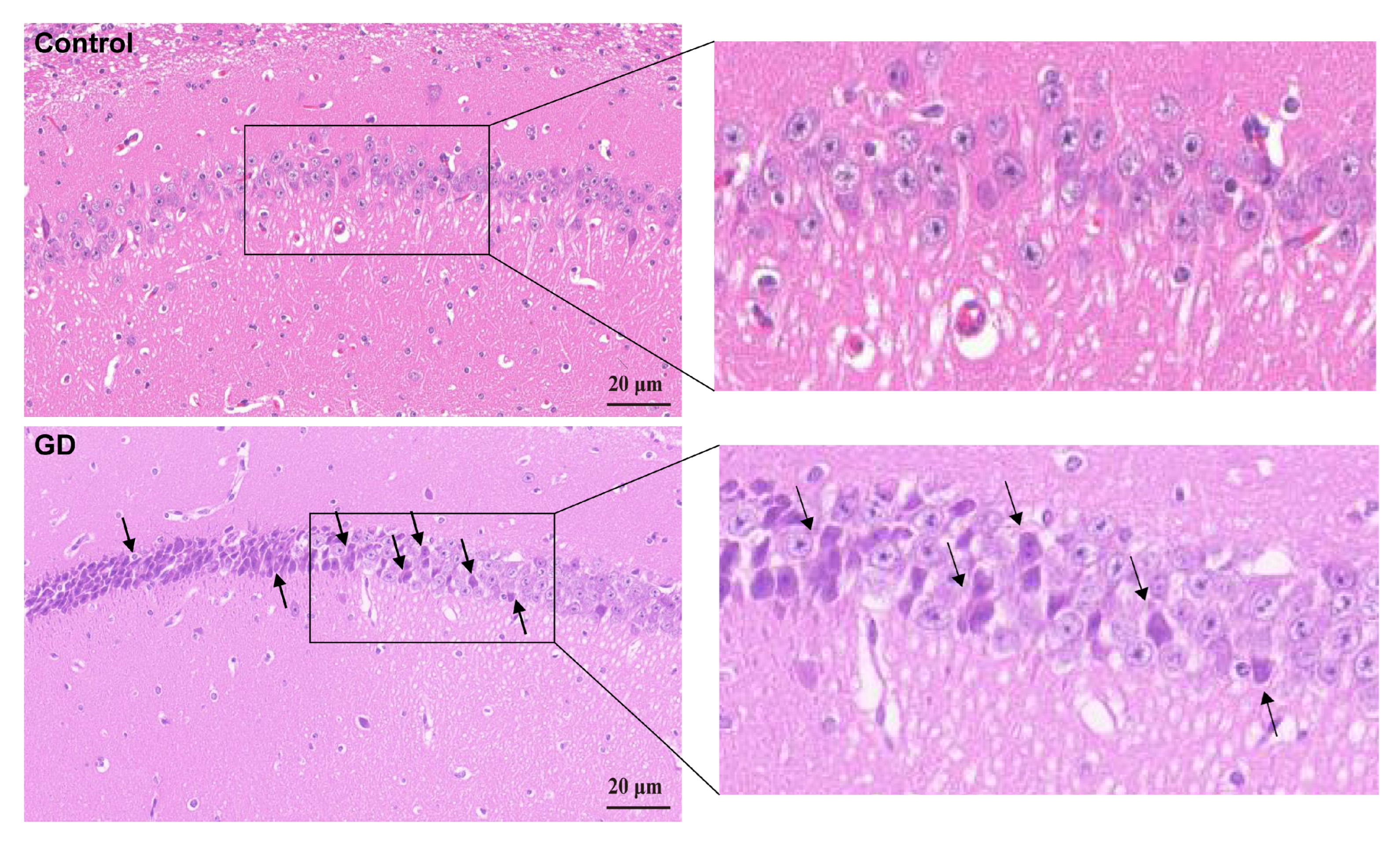 Toxics 13 00766 g002 Toxics 13 00766 g002