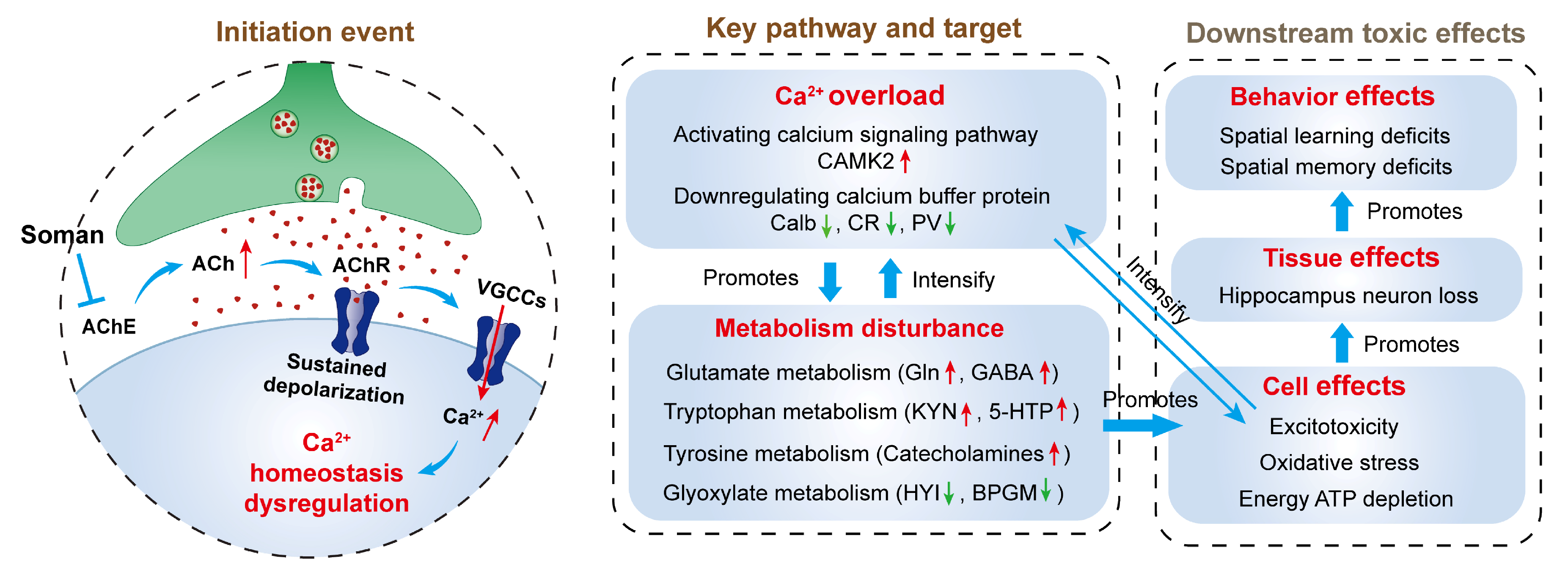 Toxics 13 00766 g008 Toxics 13 00766 g008