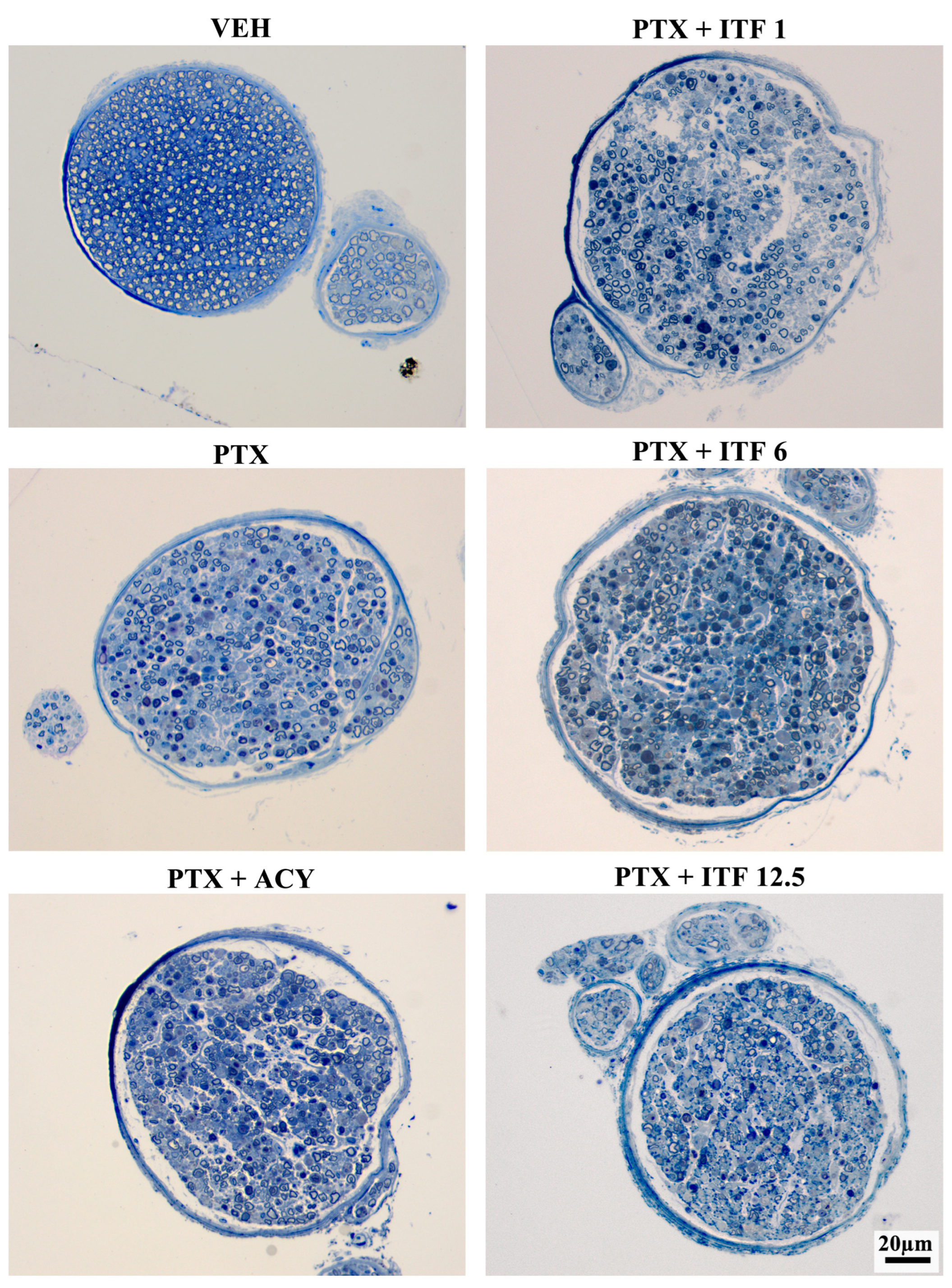Toxics 13 00767 g006