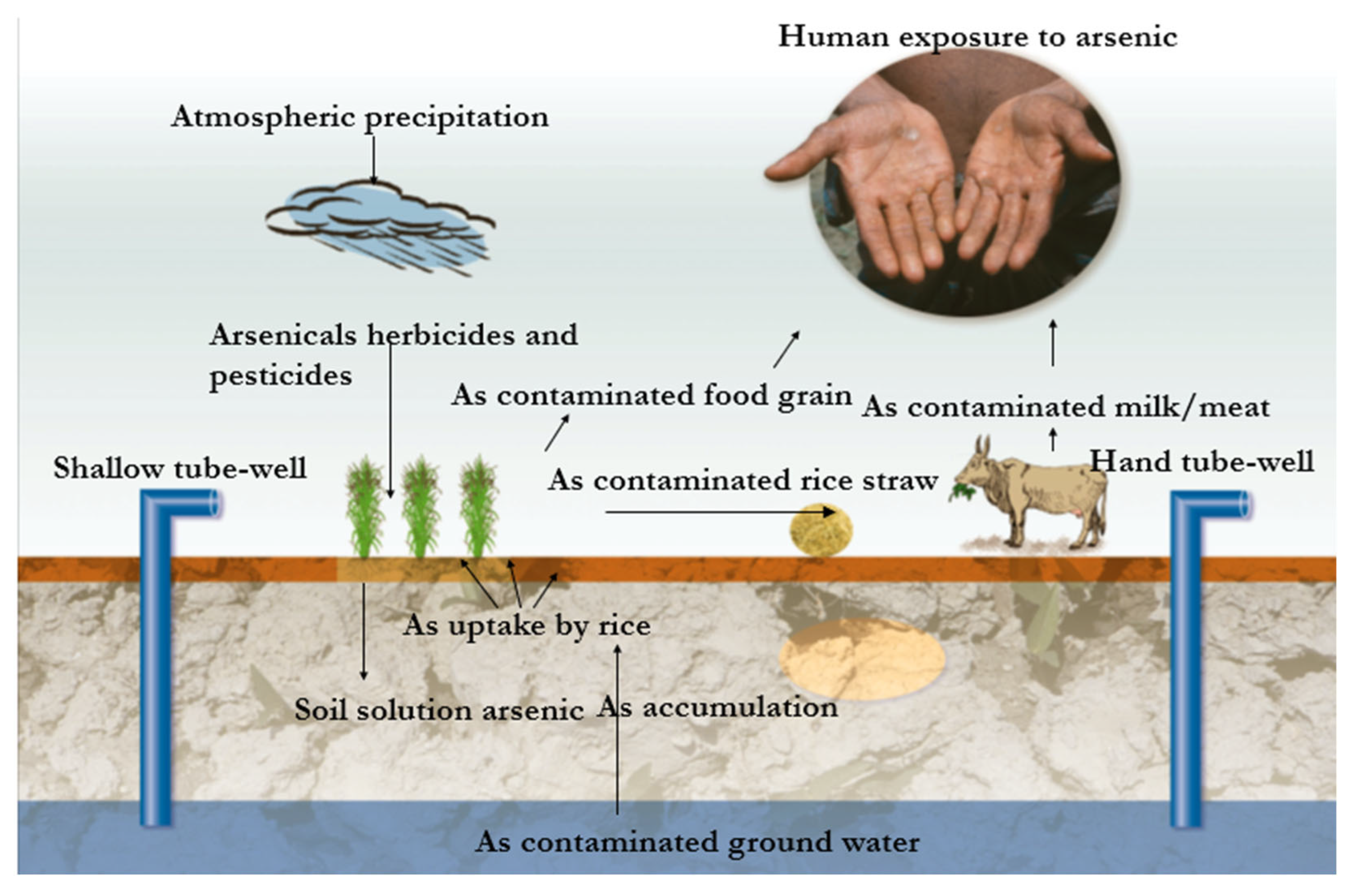 Toxics 13 00768 g001 Toxics 13 00768 g001