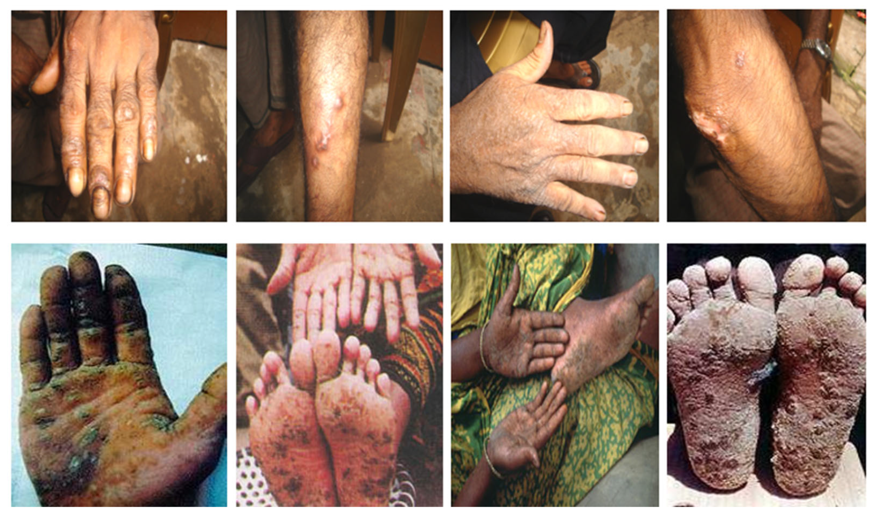 Toxics 13 00768 g002 Toxics 13 00768 g002