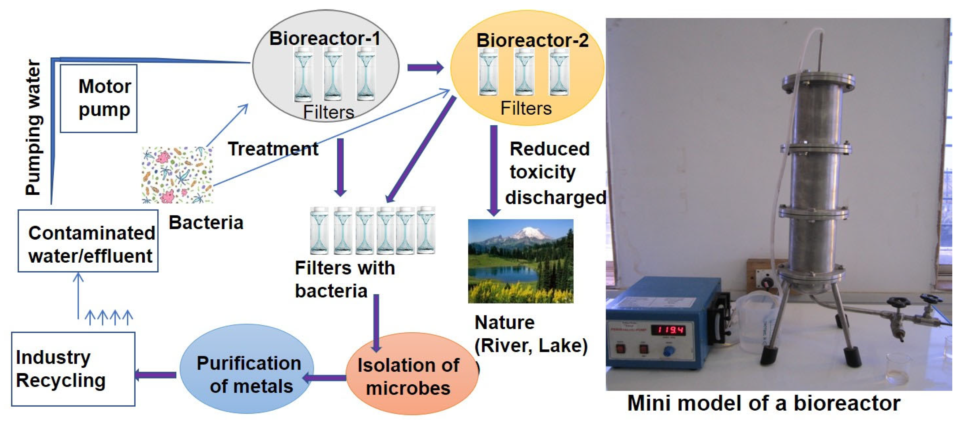 Toxics 13 00768 g004 Toxics 13 00768 g004