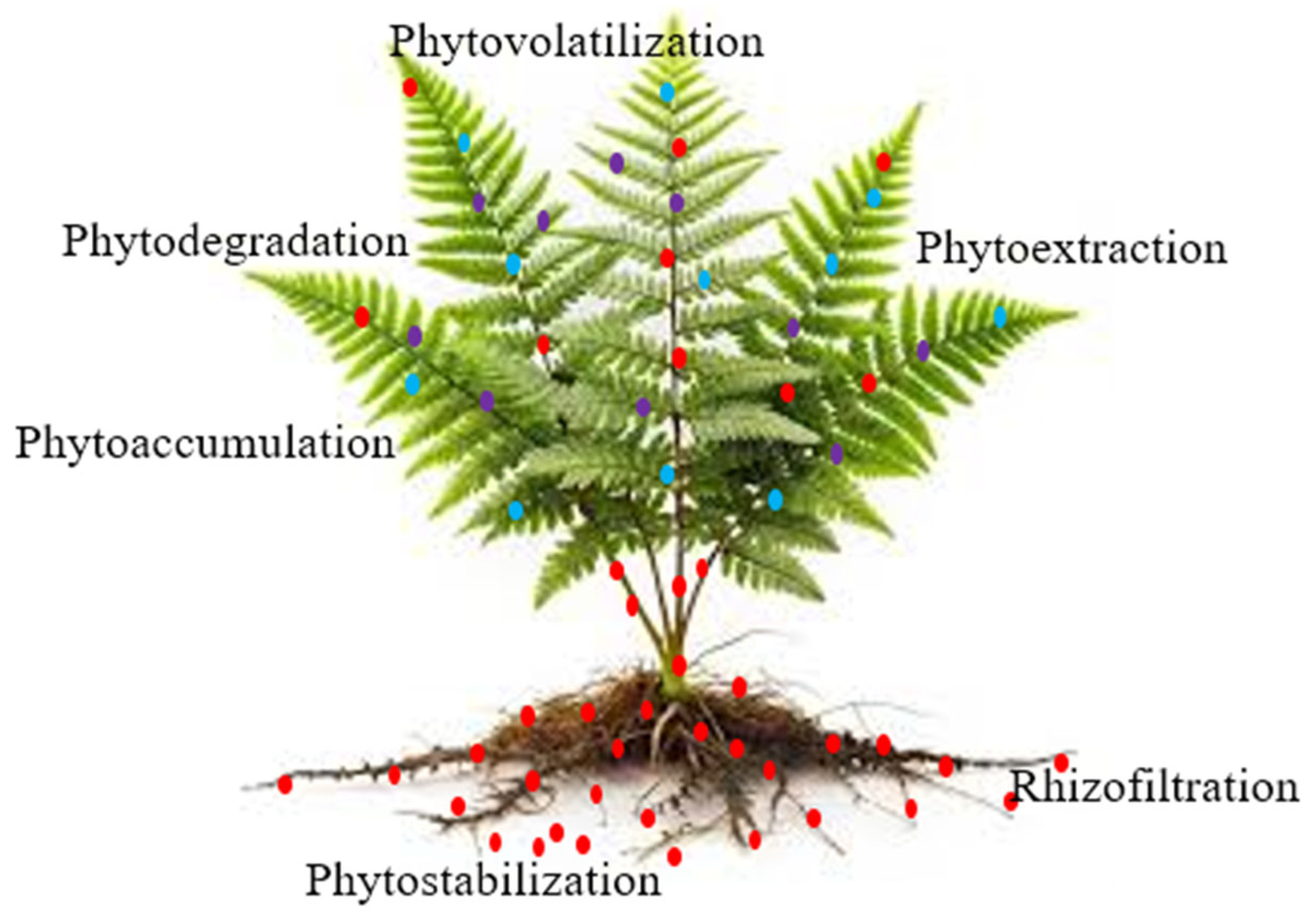Toxics 13 00768 g005 Toxics 13 00768 g005