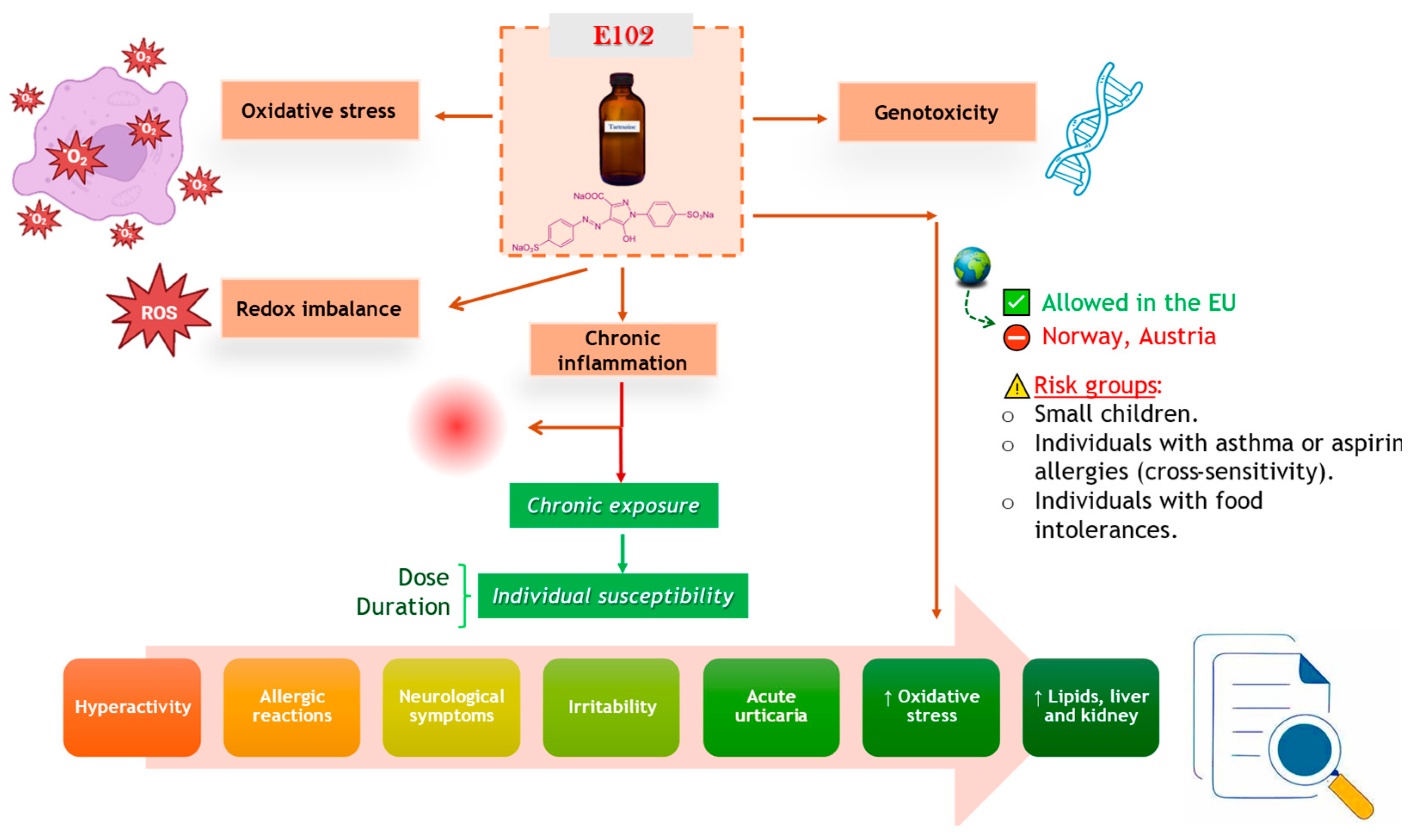 Toxics 13 00771 g001