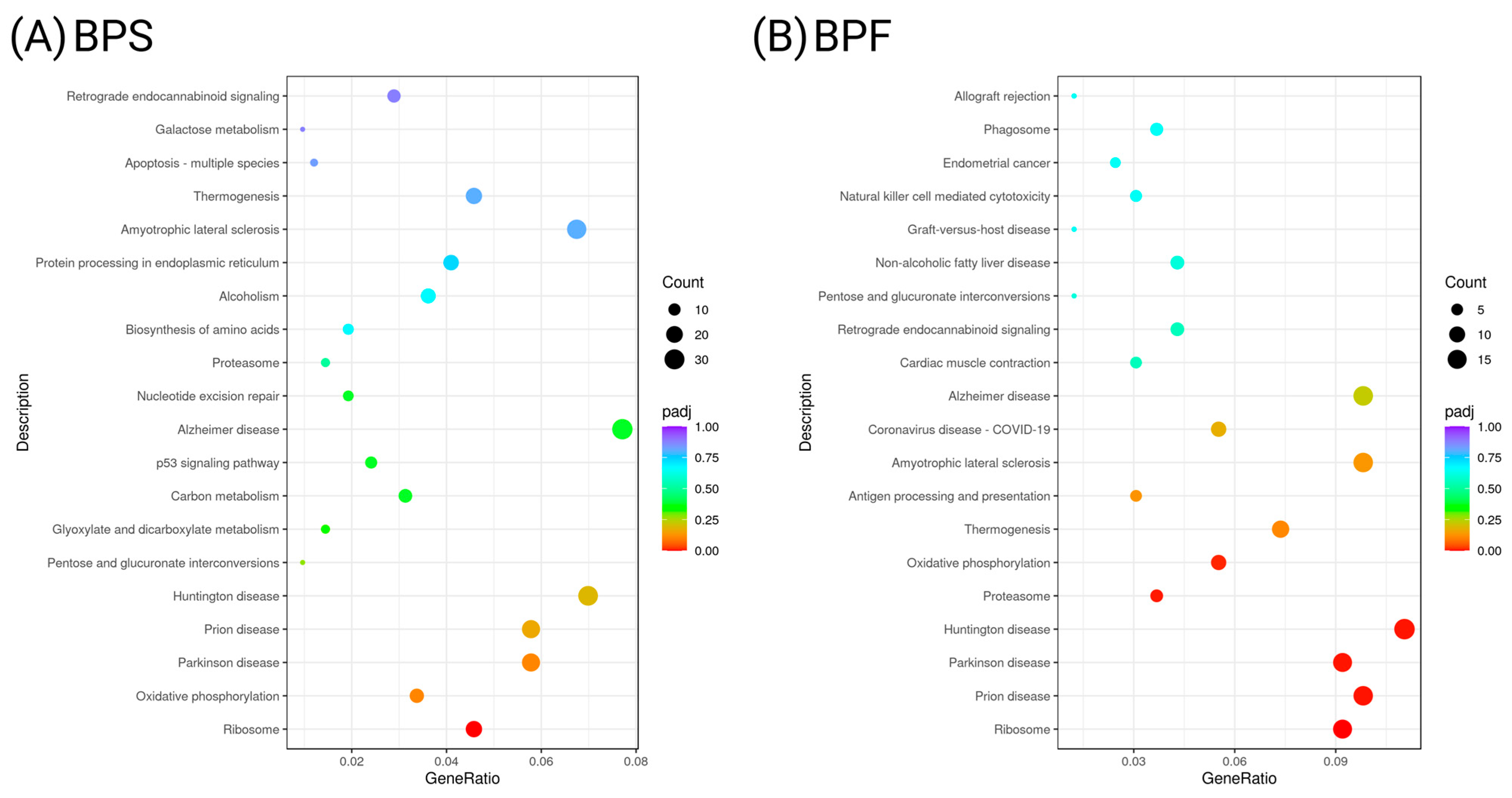 Toxics 13 00772 g007