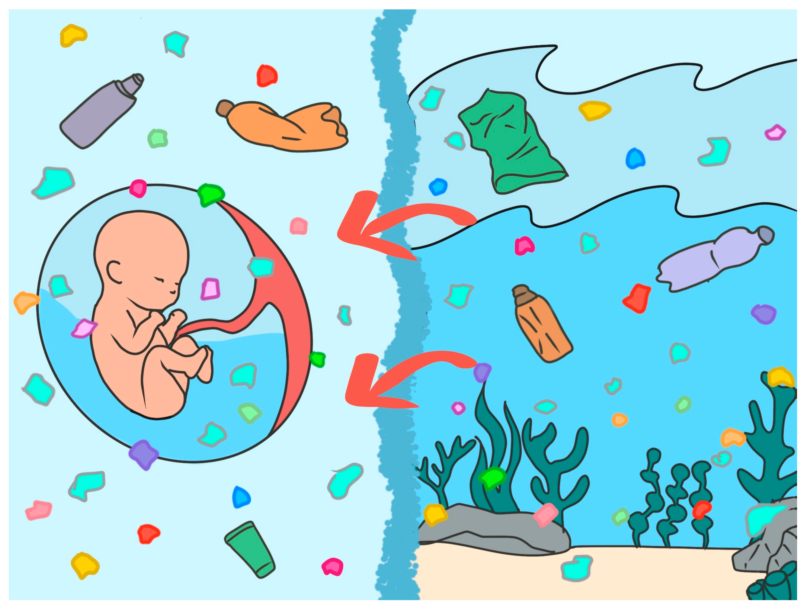 Toxics 13 00776 g001