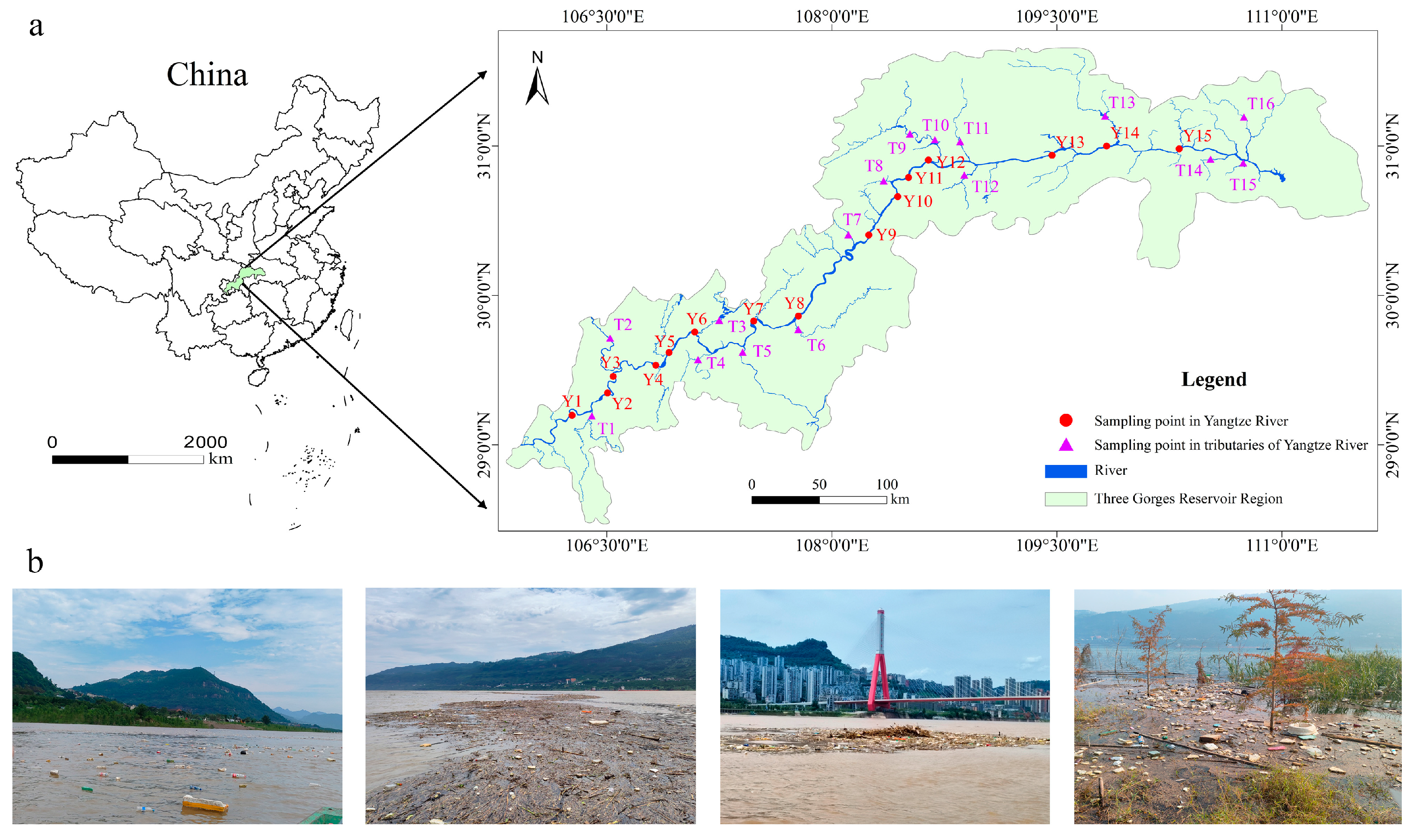 Toxics 13 00781 g001
