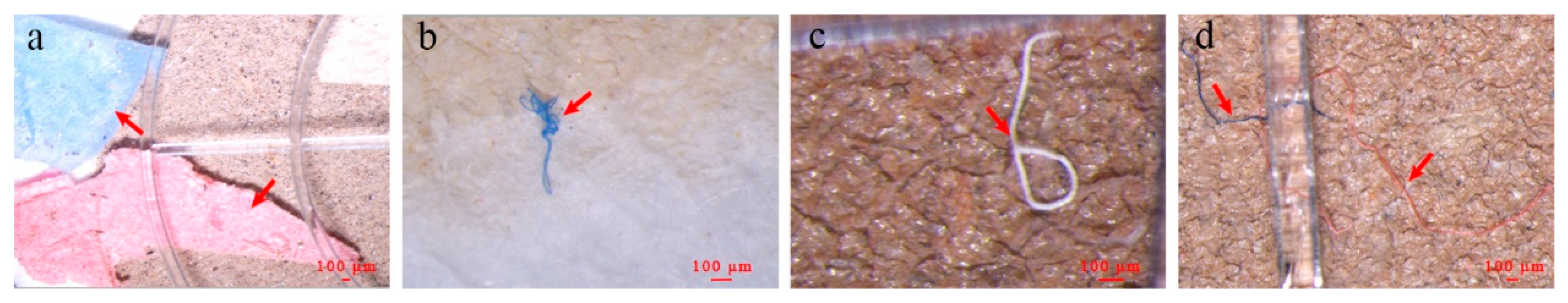 Toxics 13 00781 g003