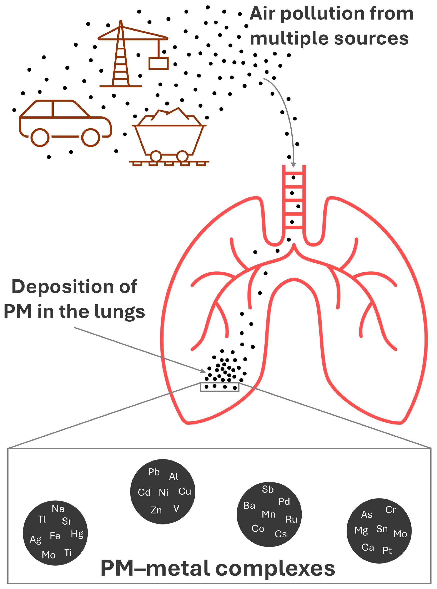 Toxics 13 00788 g001