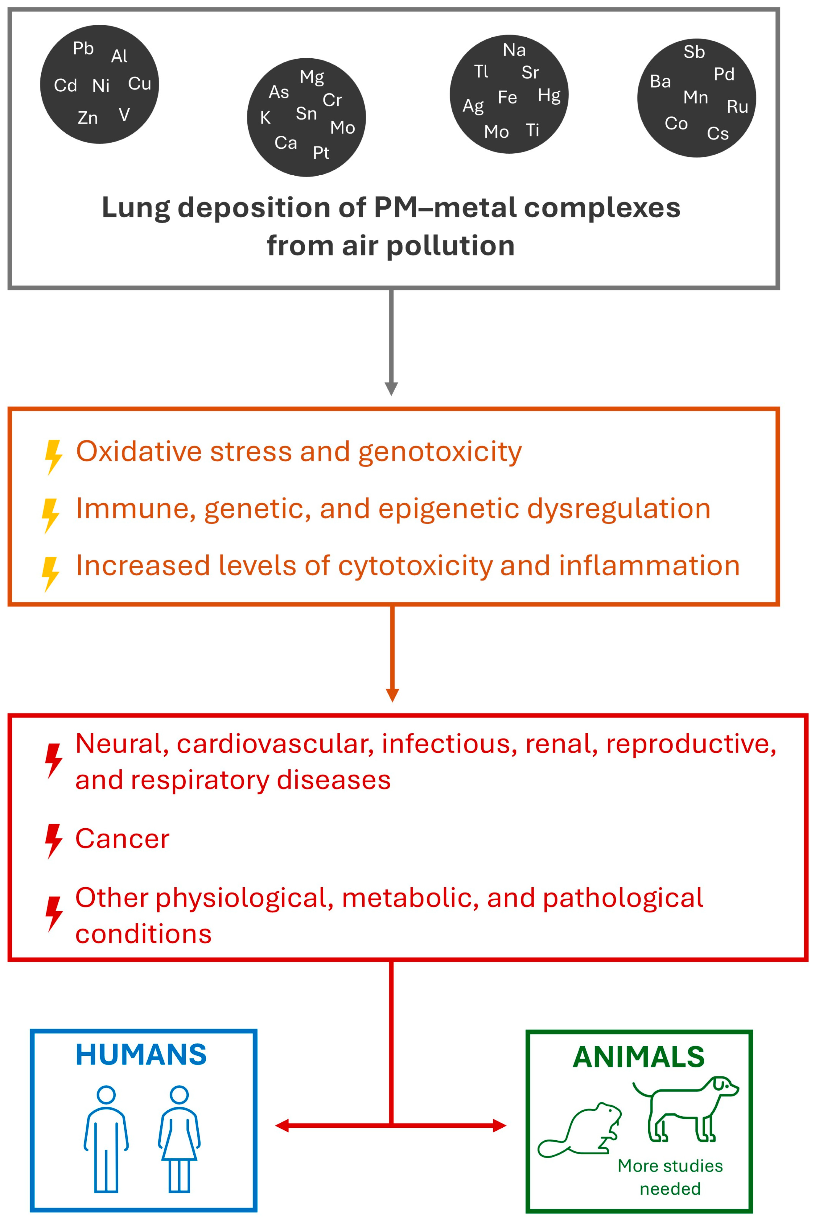 Toxics 13 00788 g002