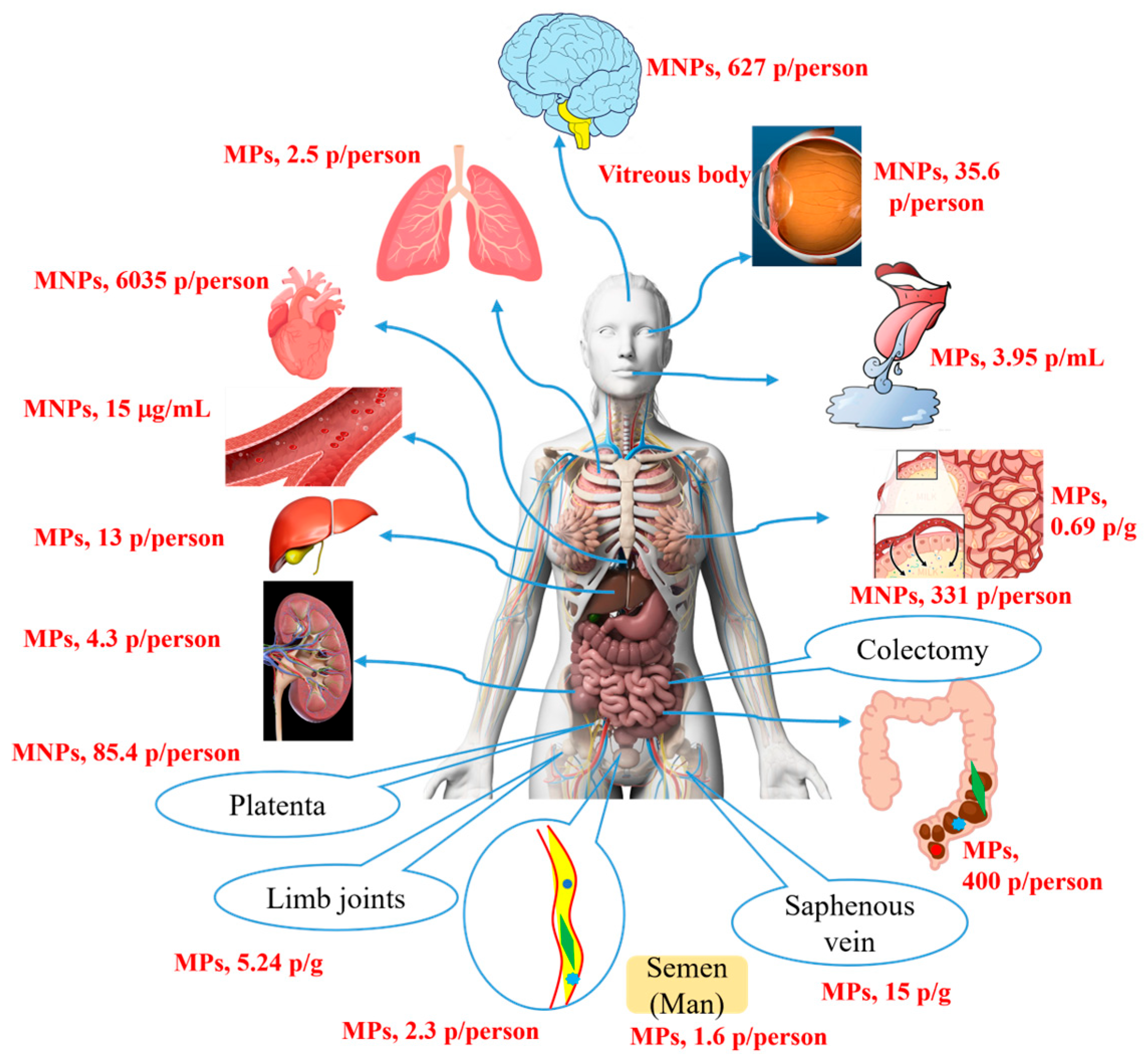 Toxics 13 00802 g001