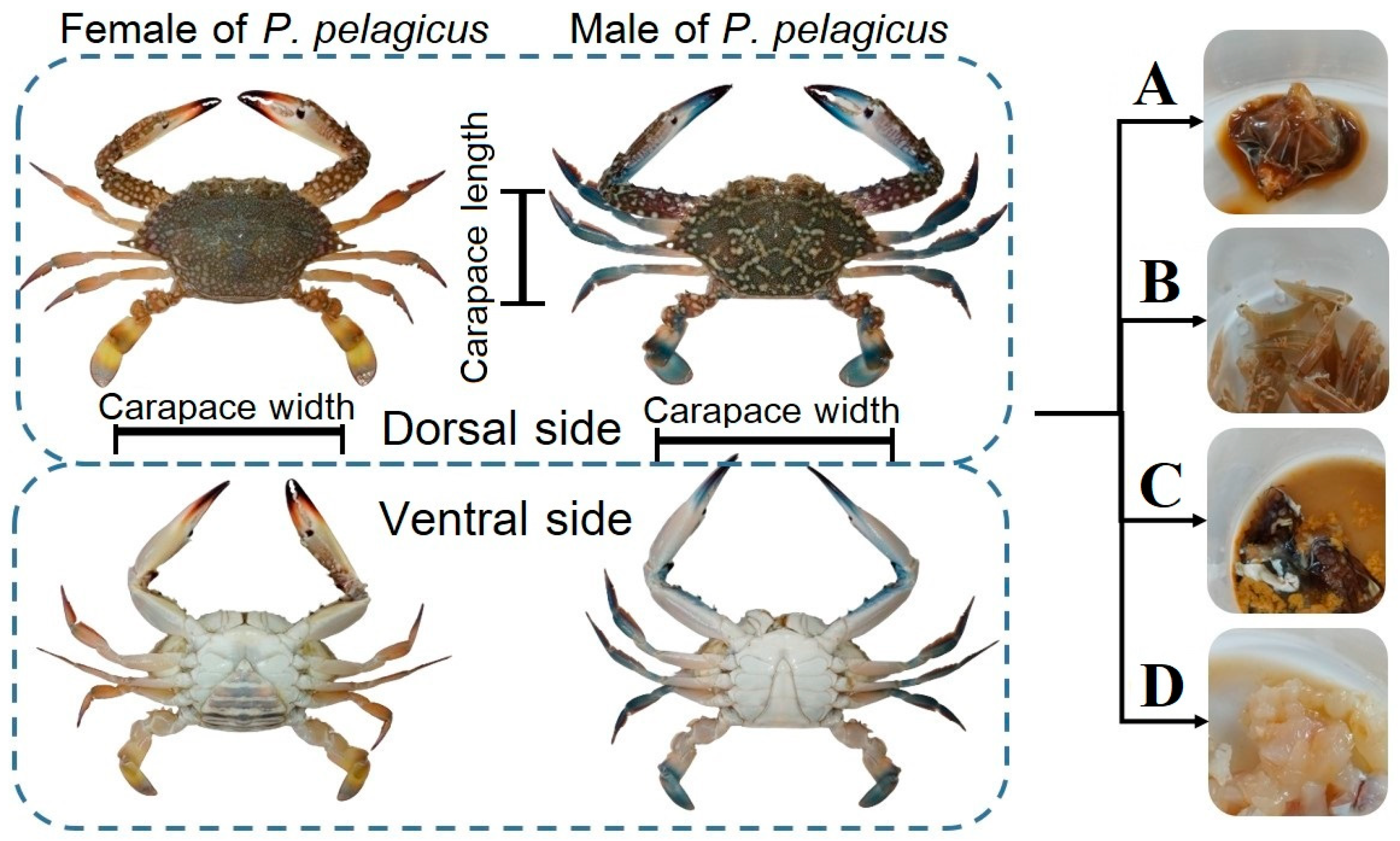 Toxics 13 00813 g002