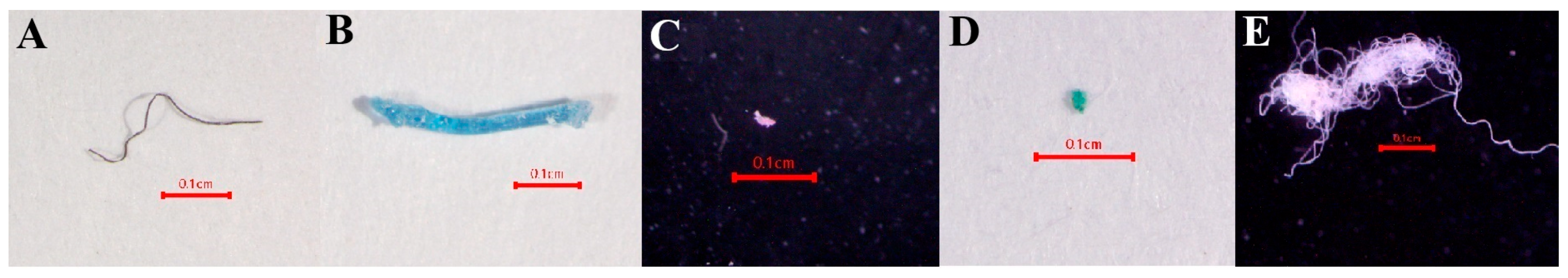 Toxics 13 00813 g012