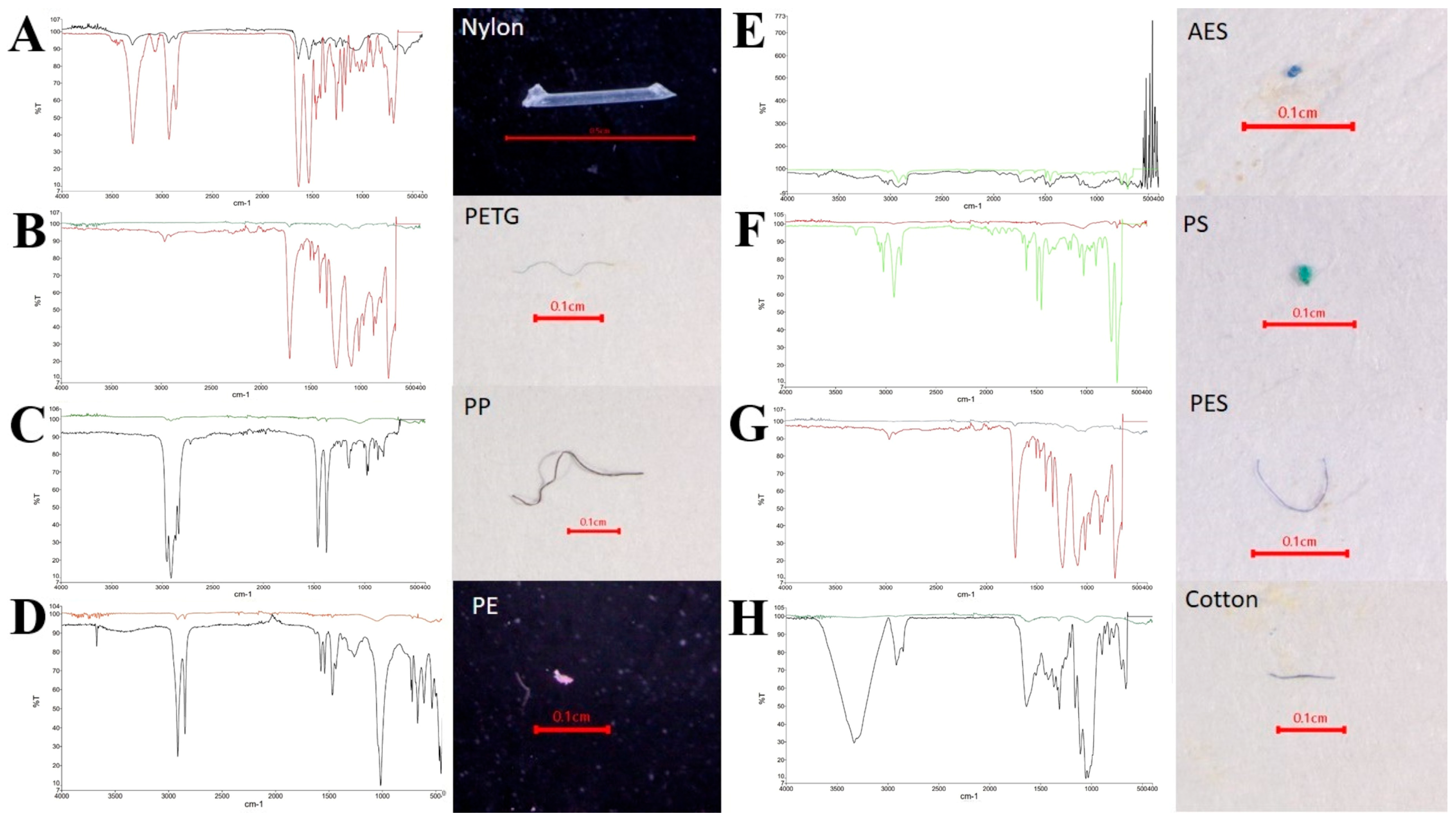Toxics 13 00813 g015