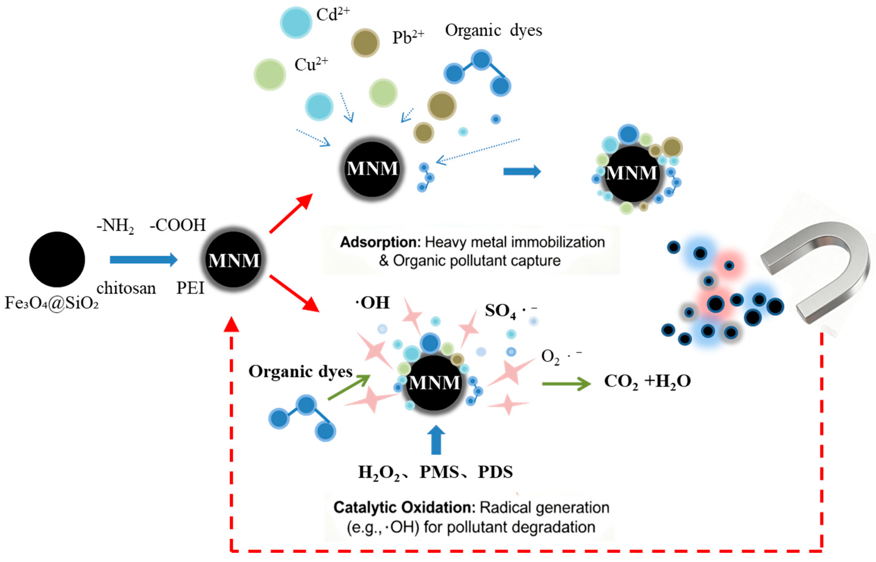 Toxics 13 00814 g001