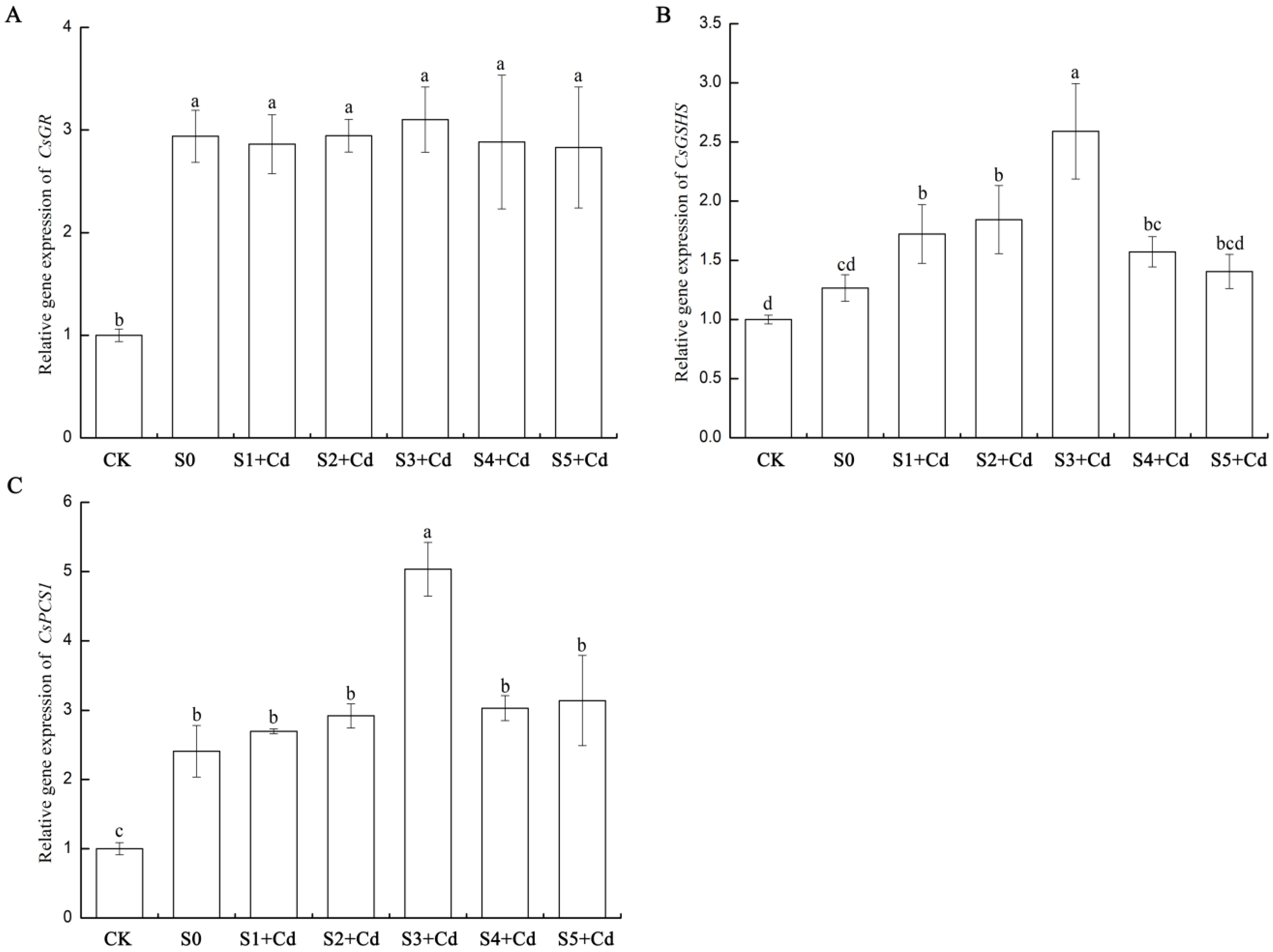 Toxics 13 00822 g009