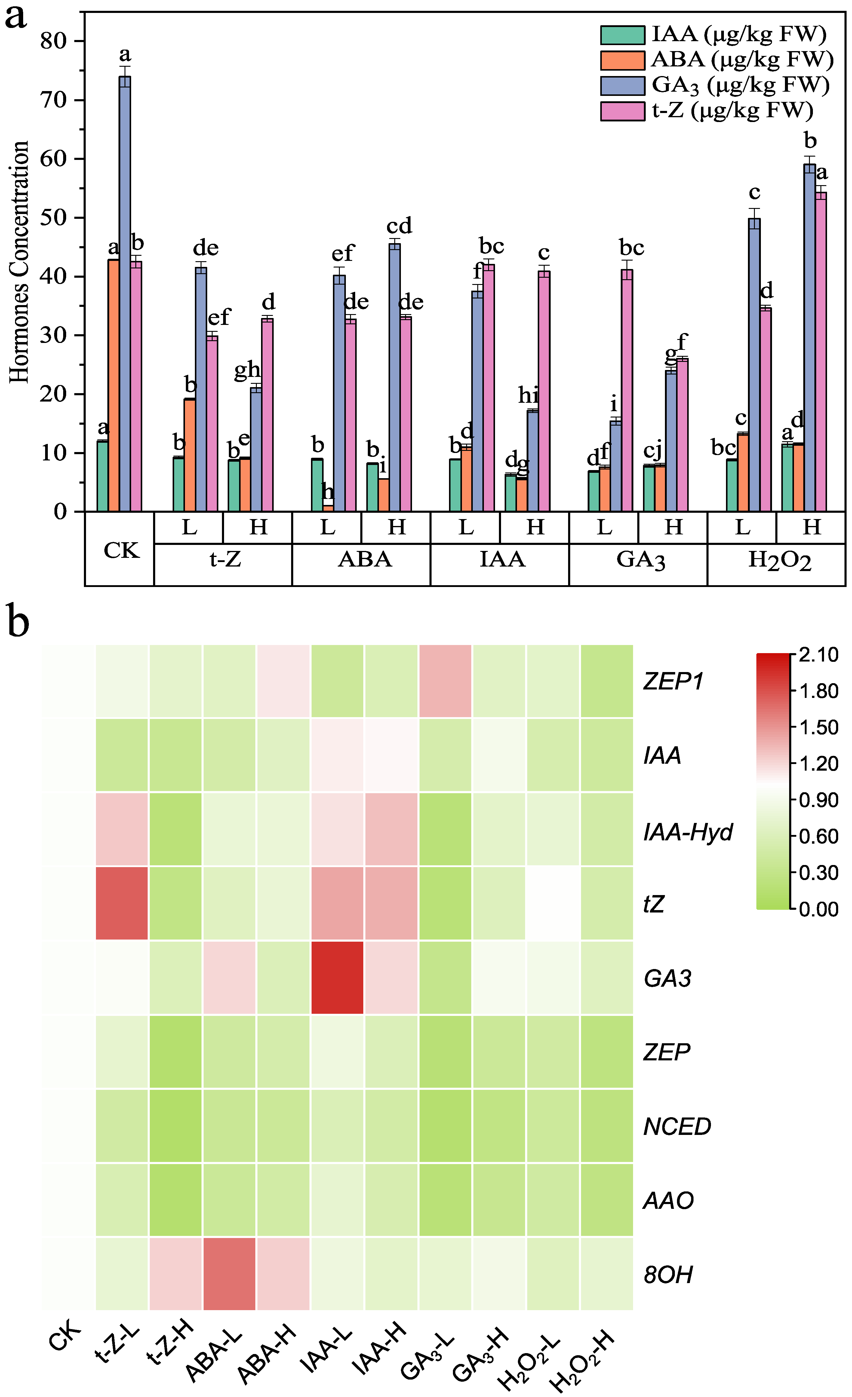 Toxics 13 00823 g001