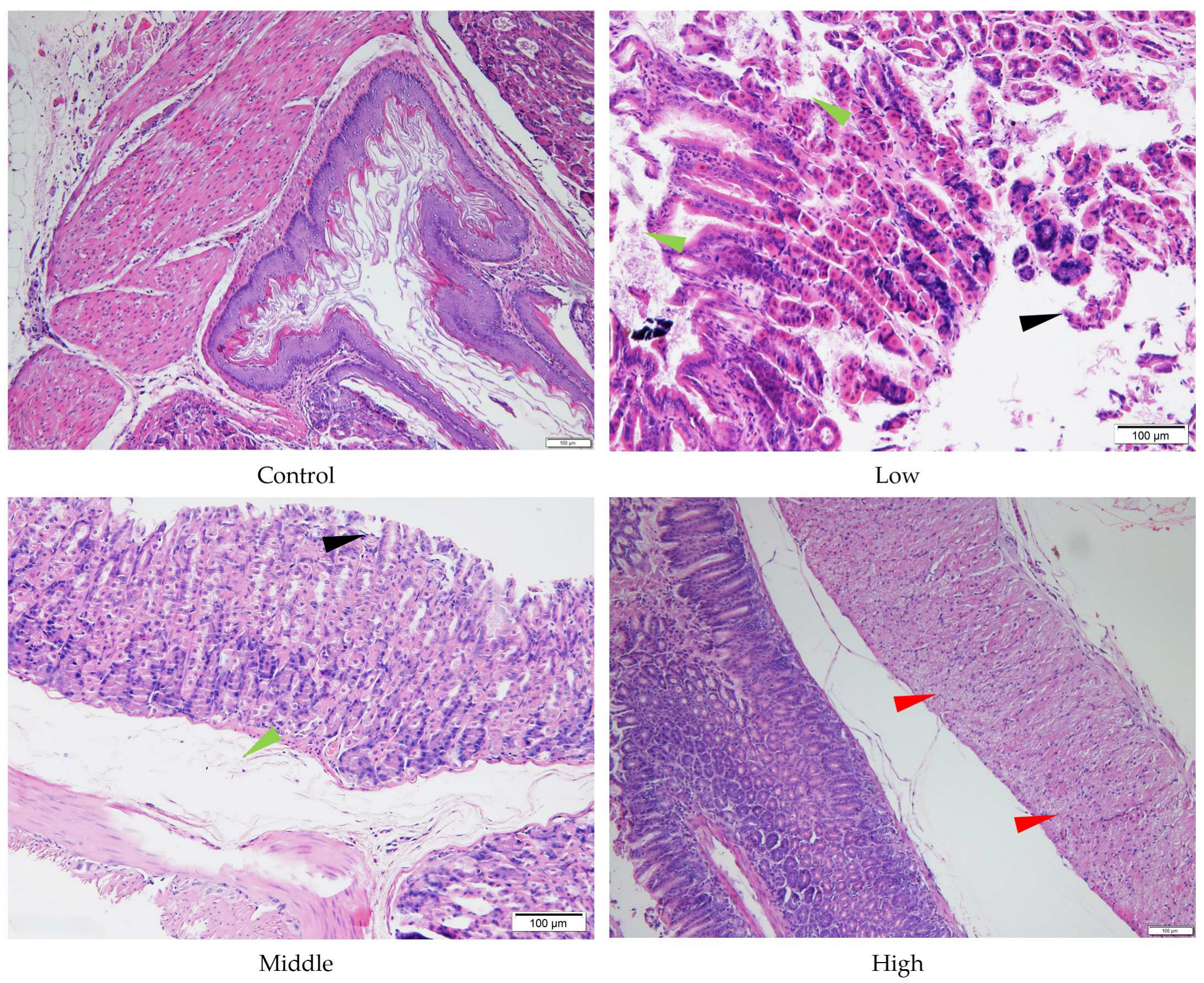 Toxics 13 00827 g005