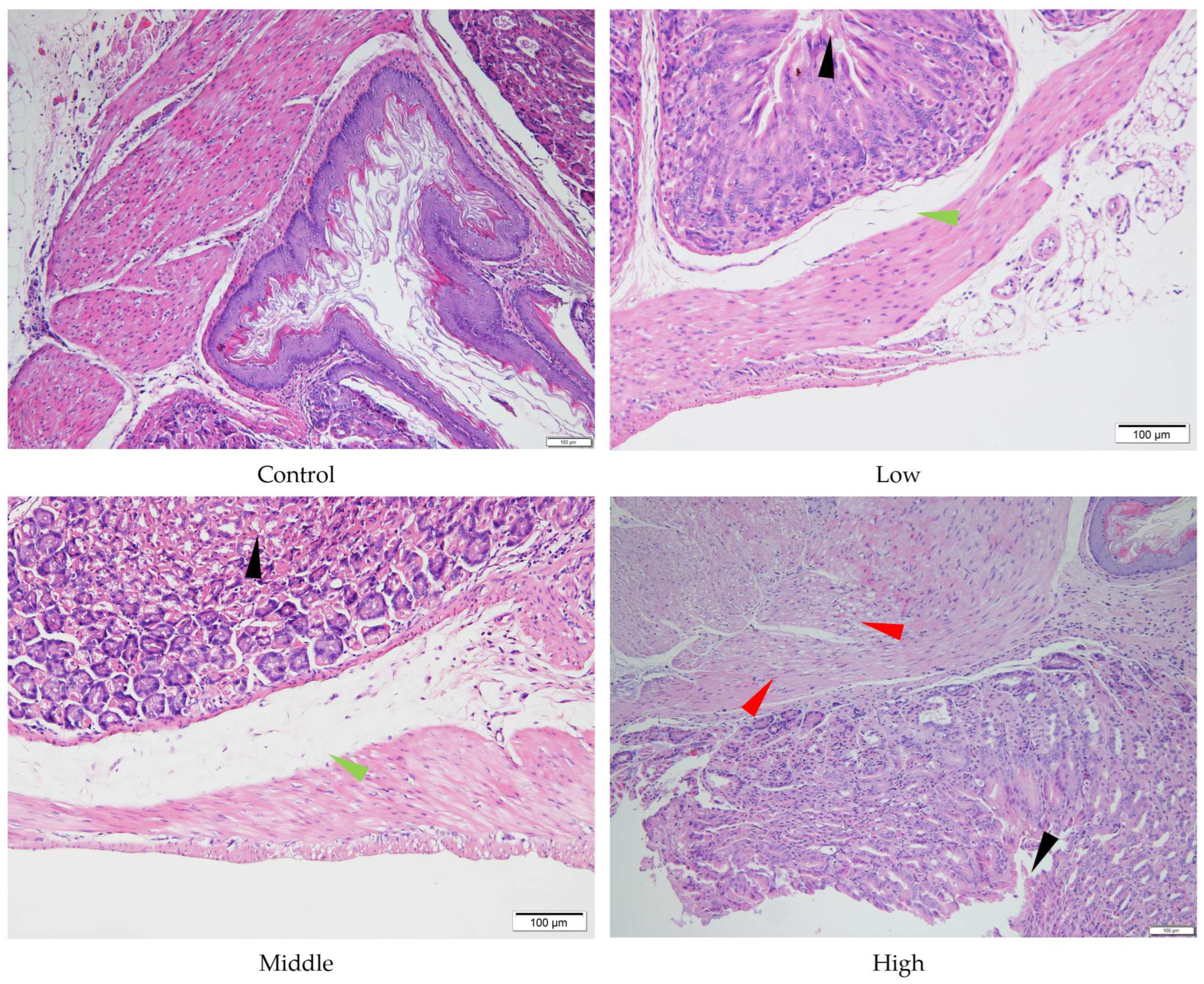 Toxics 13 00827 g006