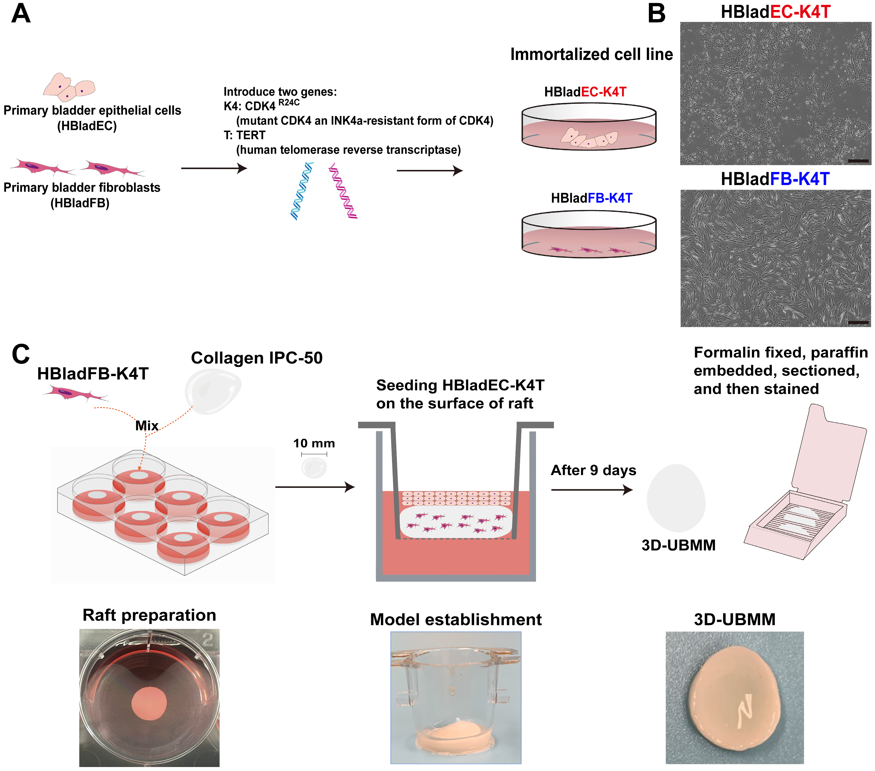 Toxics 13 00828 g001