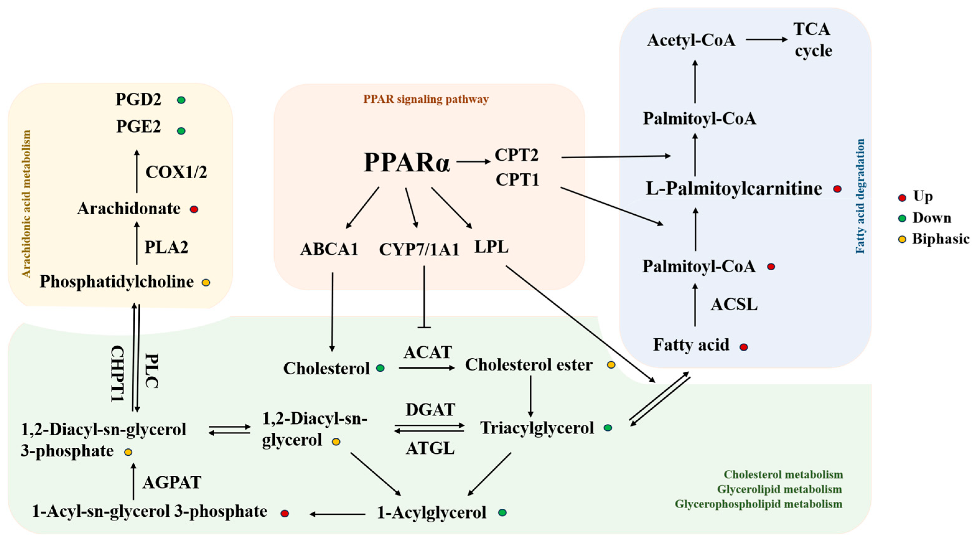 Toxics 13 00850 g007