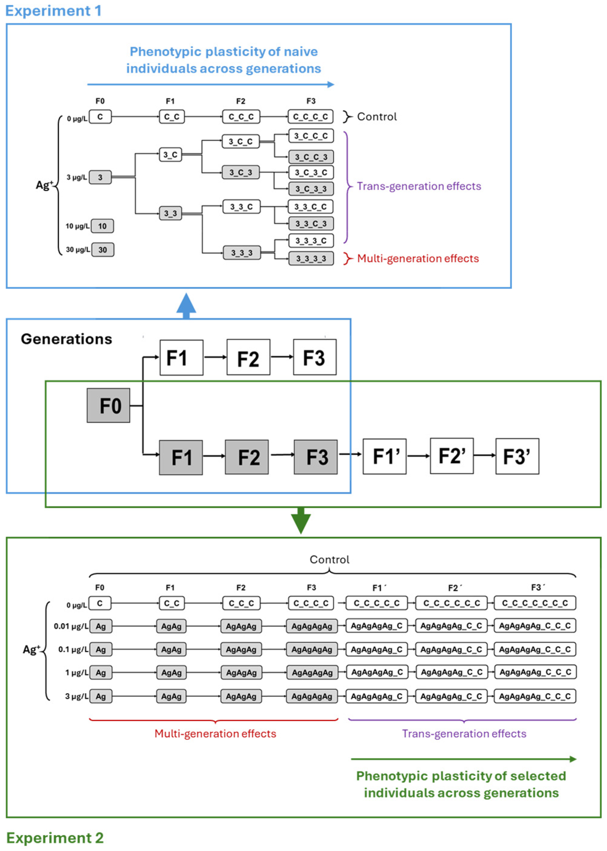 Toxics 13 00855 g001