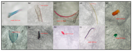 Determination of Microplastic Pollution in Commercial Fish in the