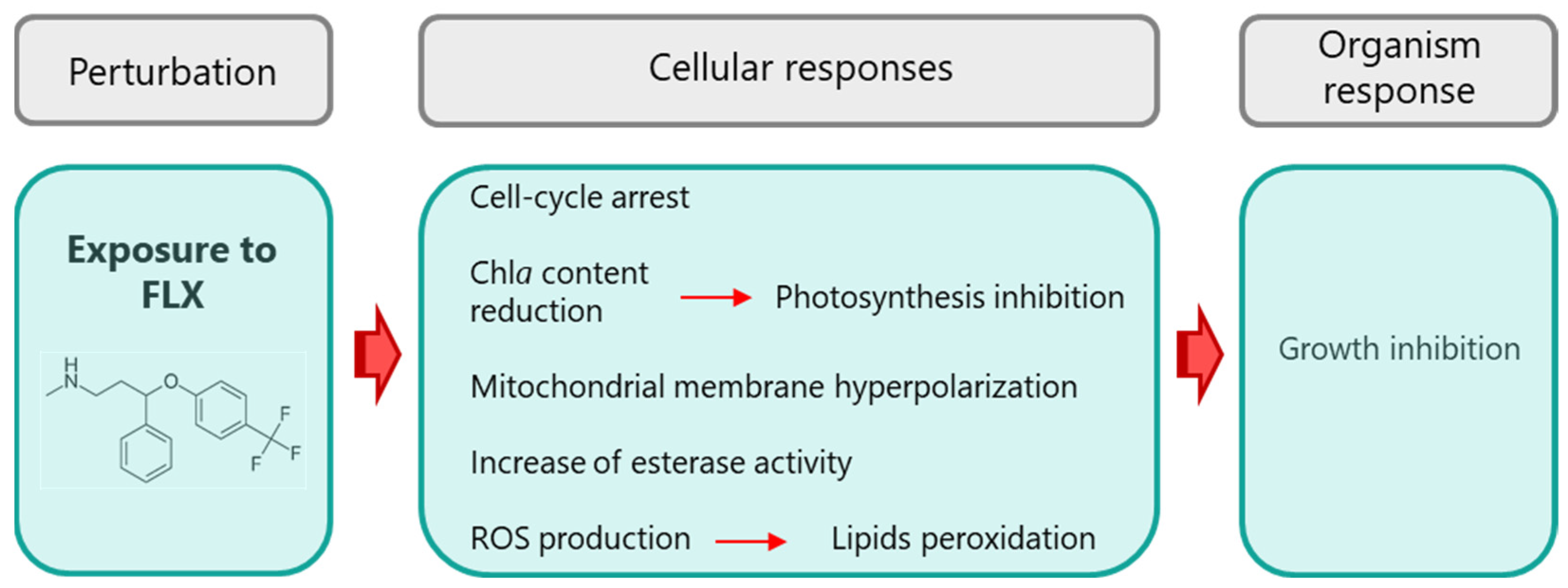 Toxics 13 00876 g006