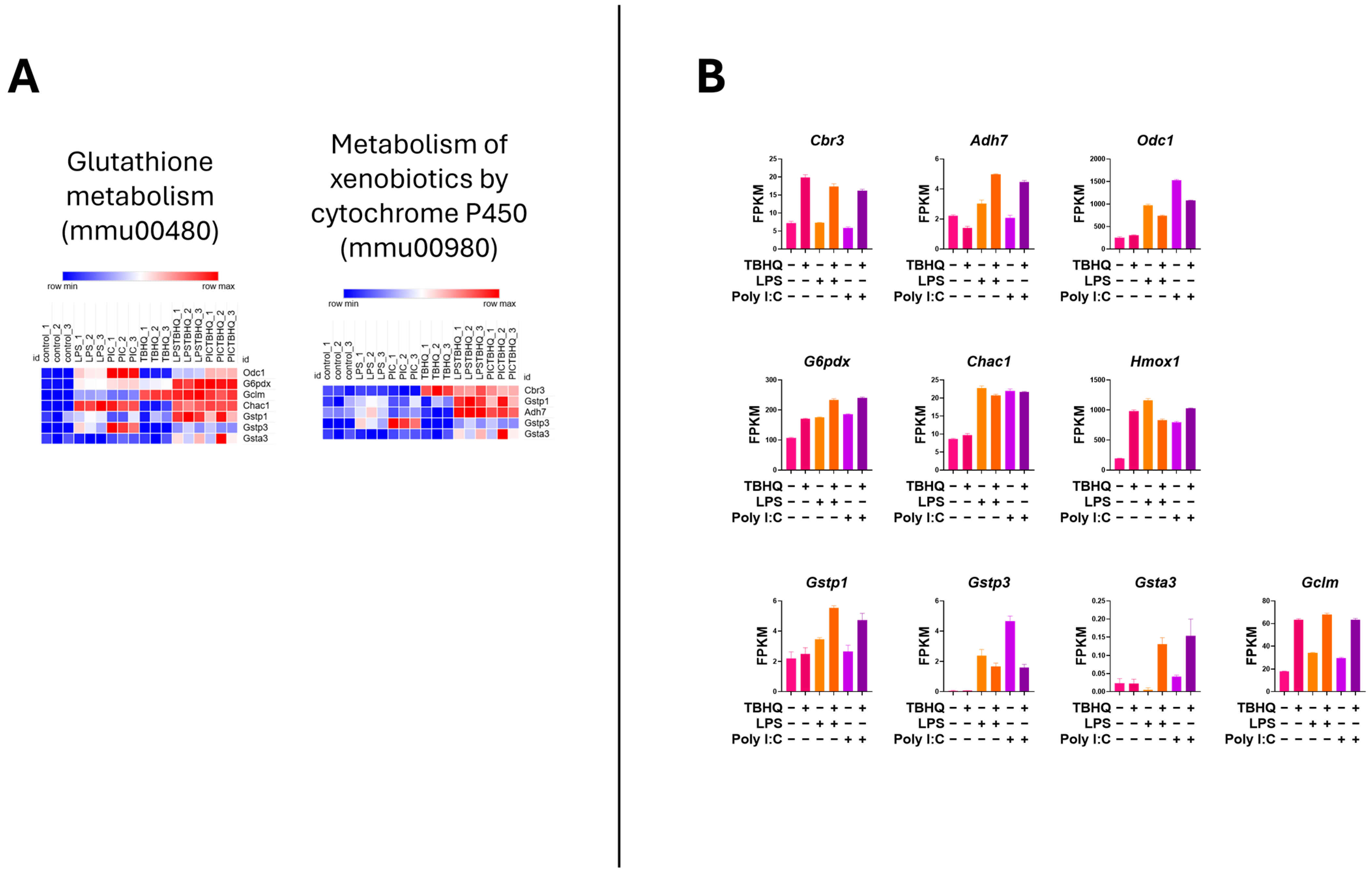 Toxics 13 00883 g007