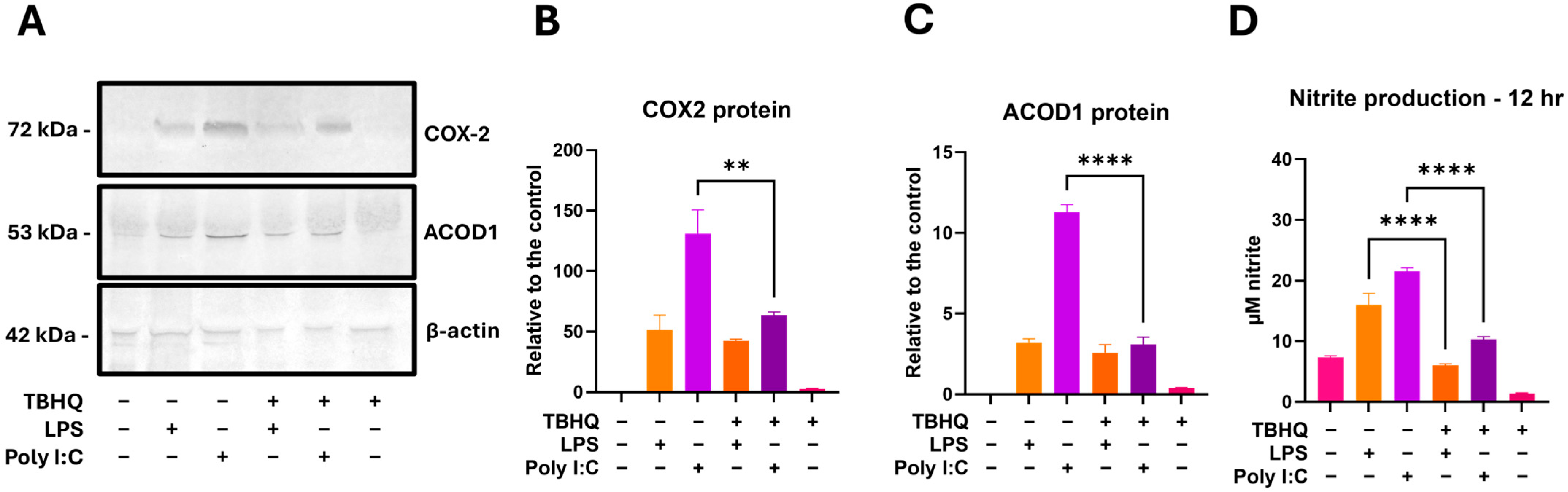 Toxics 13 00883 g009