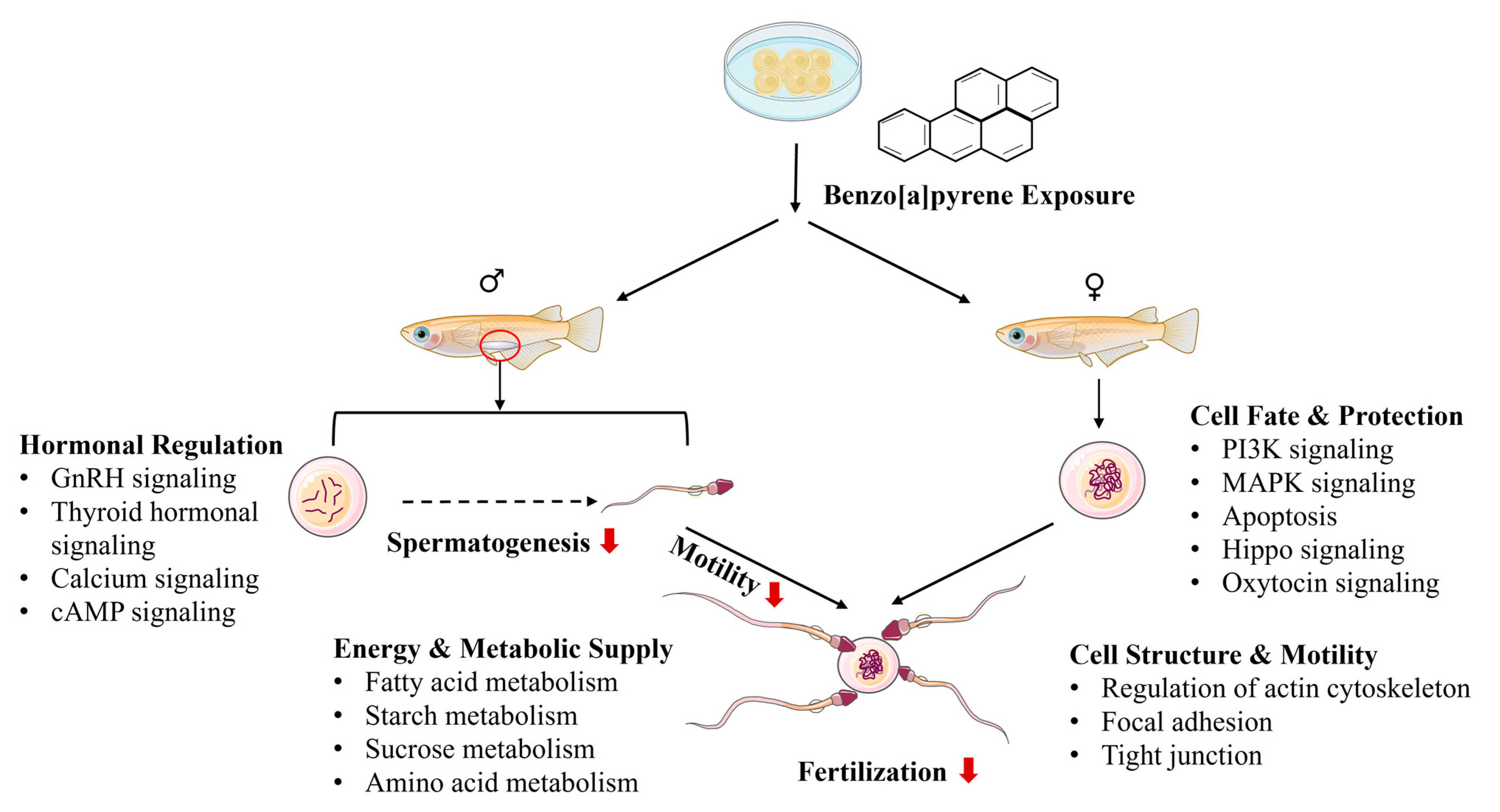 Toxics 13 00886 g005