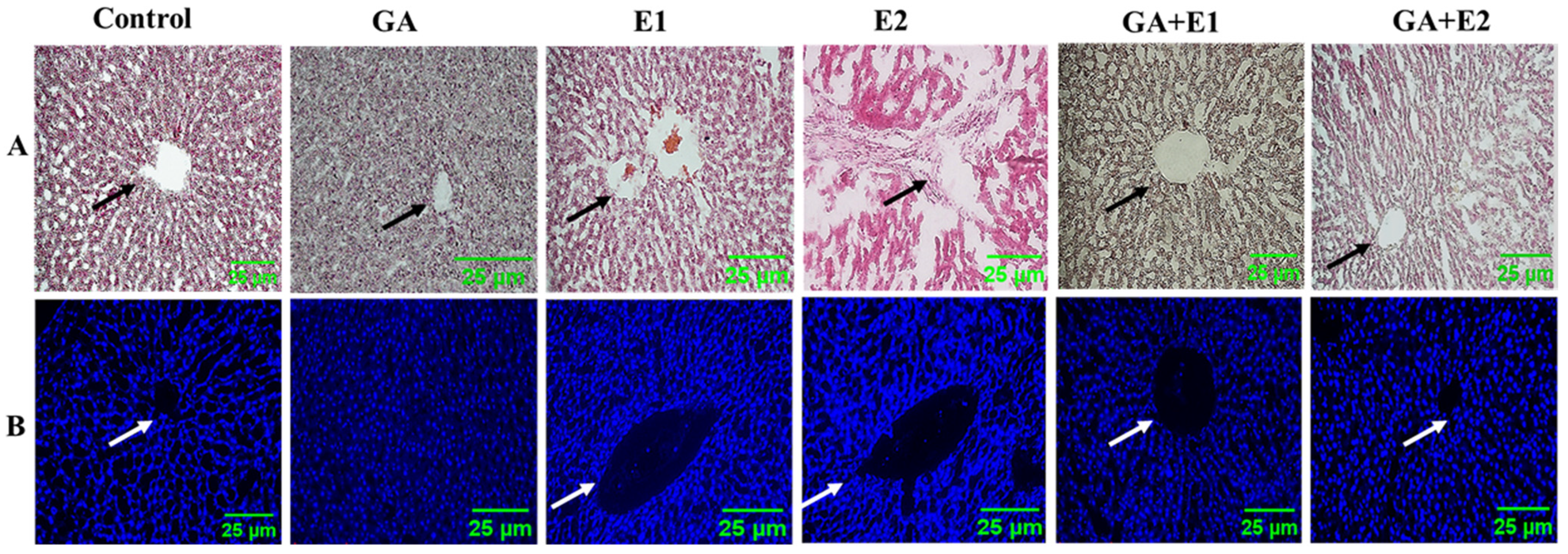 Toxics 13 00897 g009 Toxics 13 00897 g009