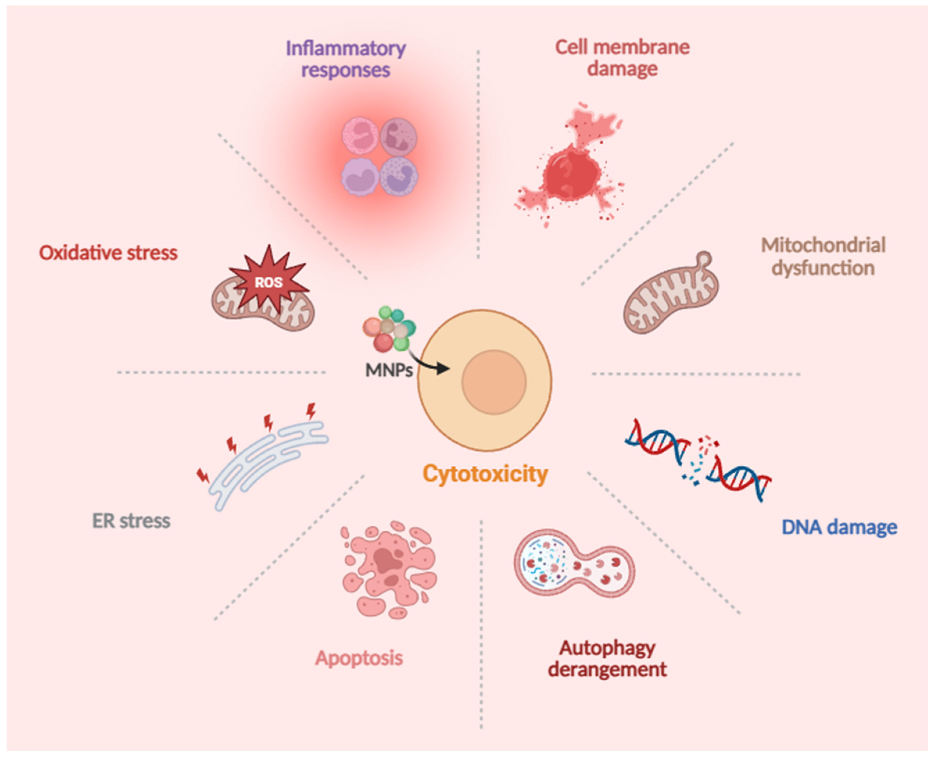 Toxics 13 00913 g001 Toxics 13 00913 g001