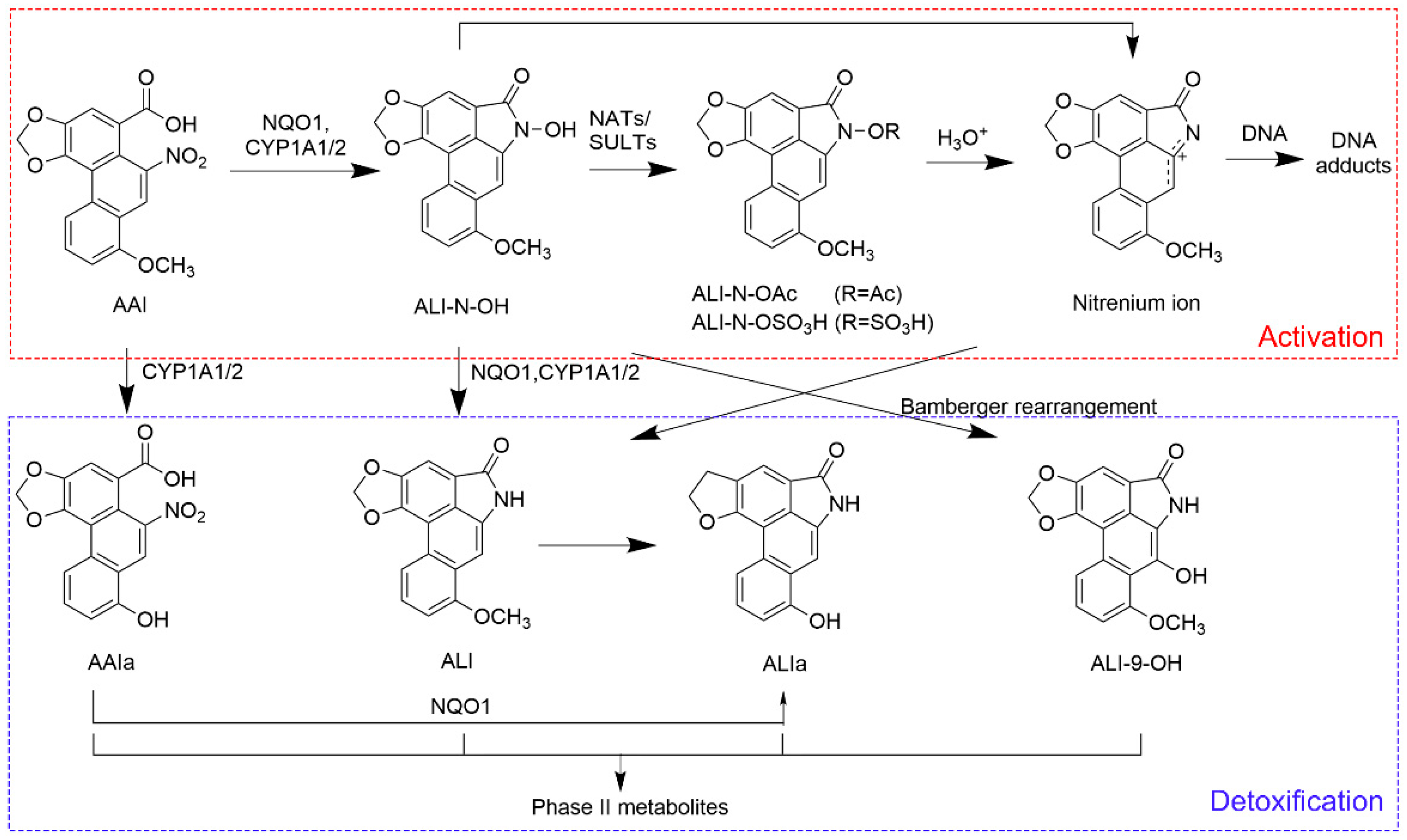 Toxics 13 00919 g001
