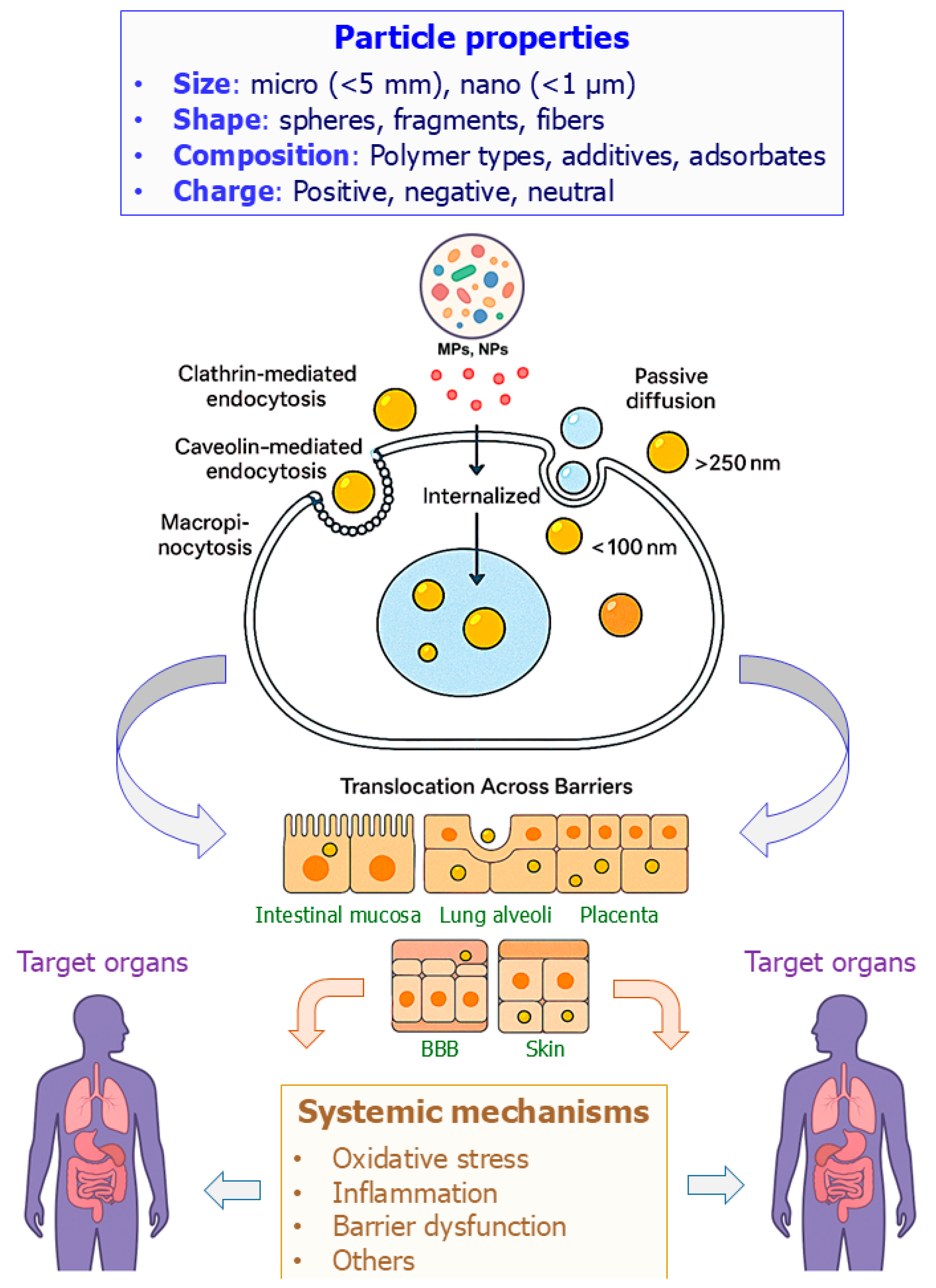 Toxics 13 00921 g001 Toxics 13 00921 g001