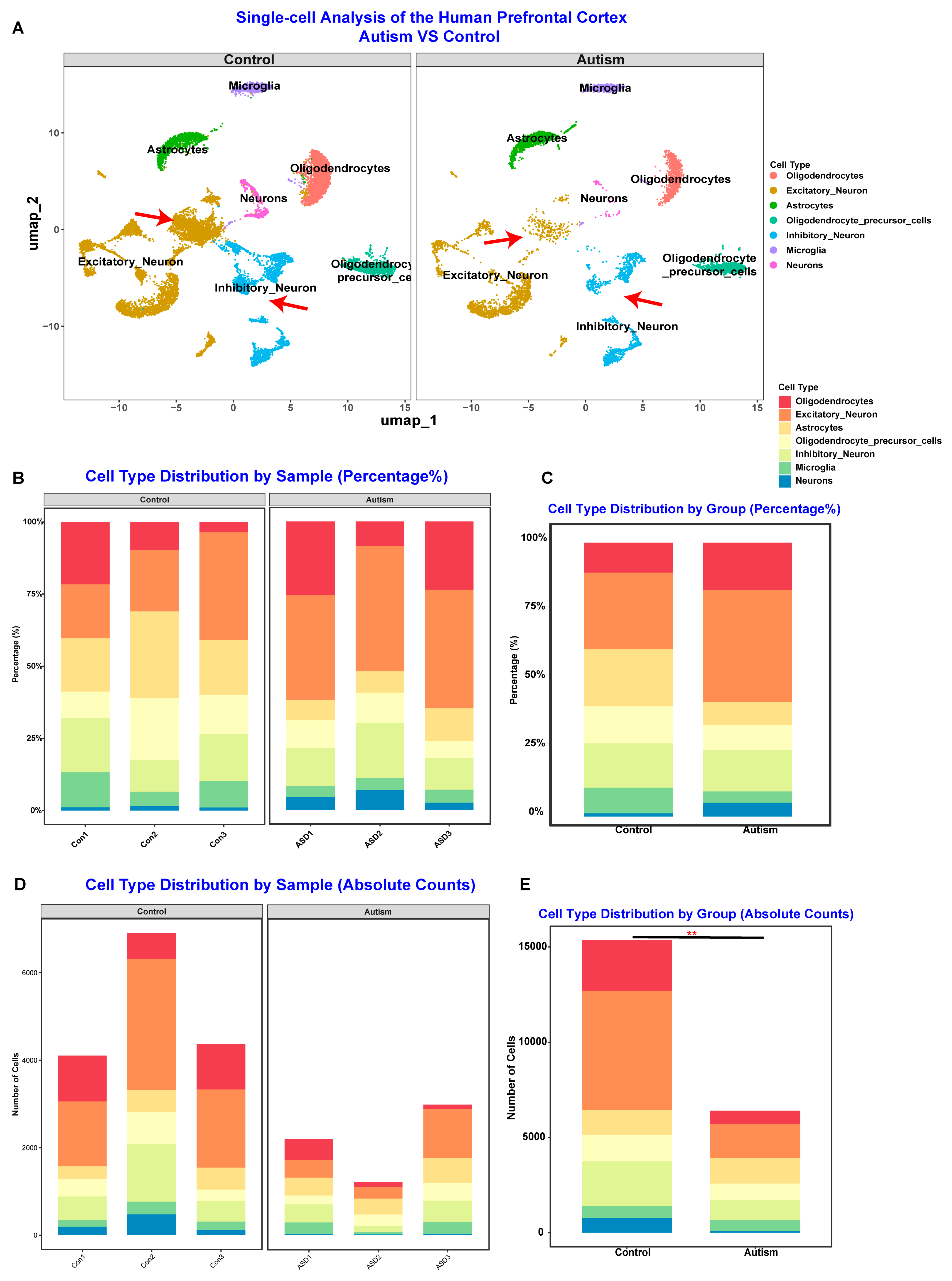 Toxics 13 00922 g005