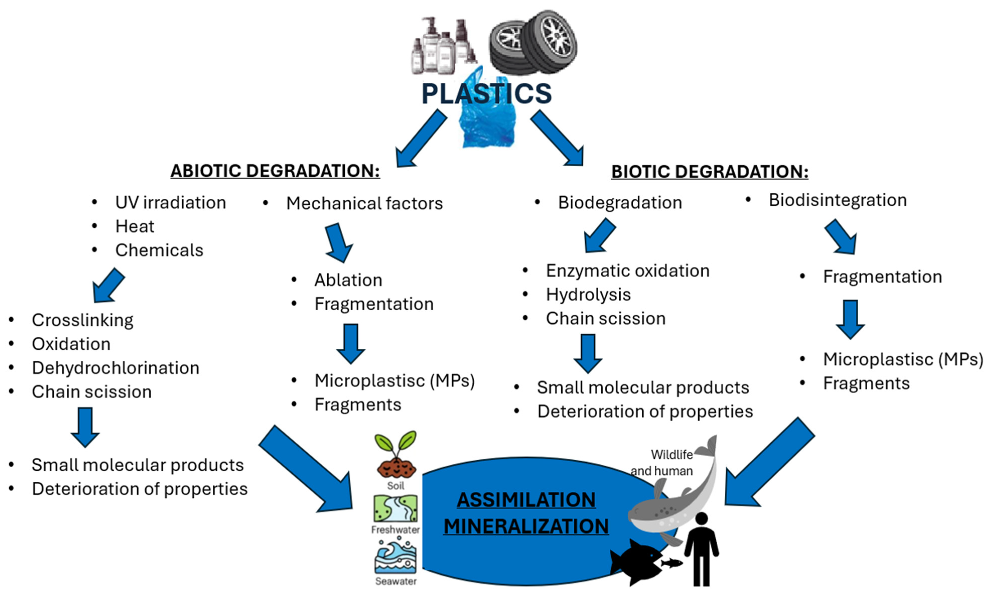 Toxics 13 00928 g002