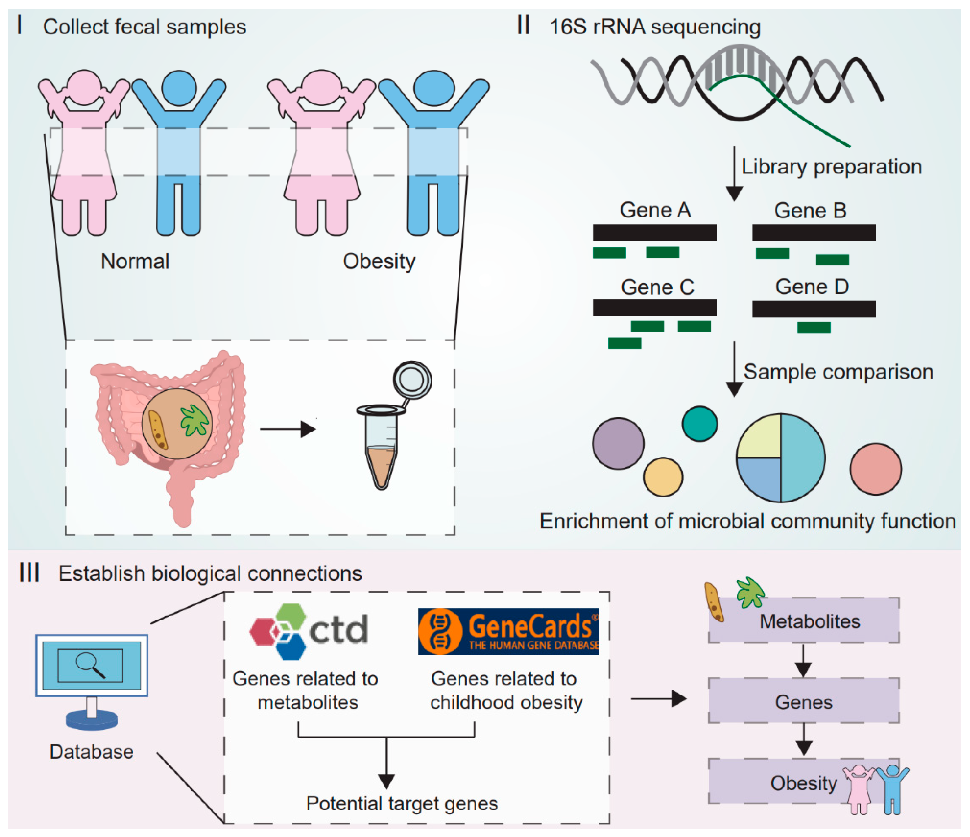 Toxics 13 00929 g001