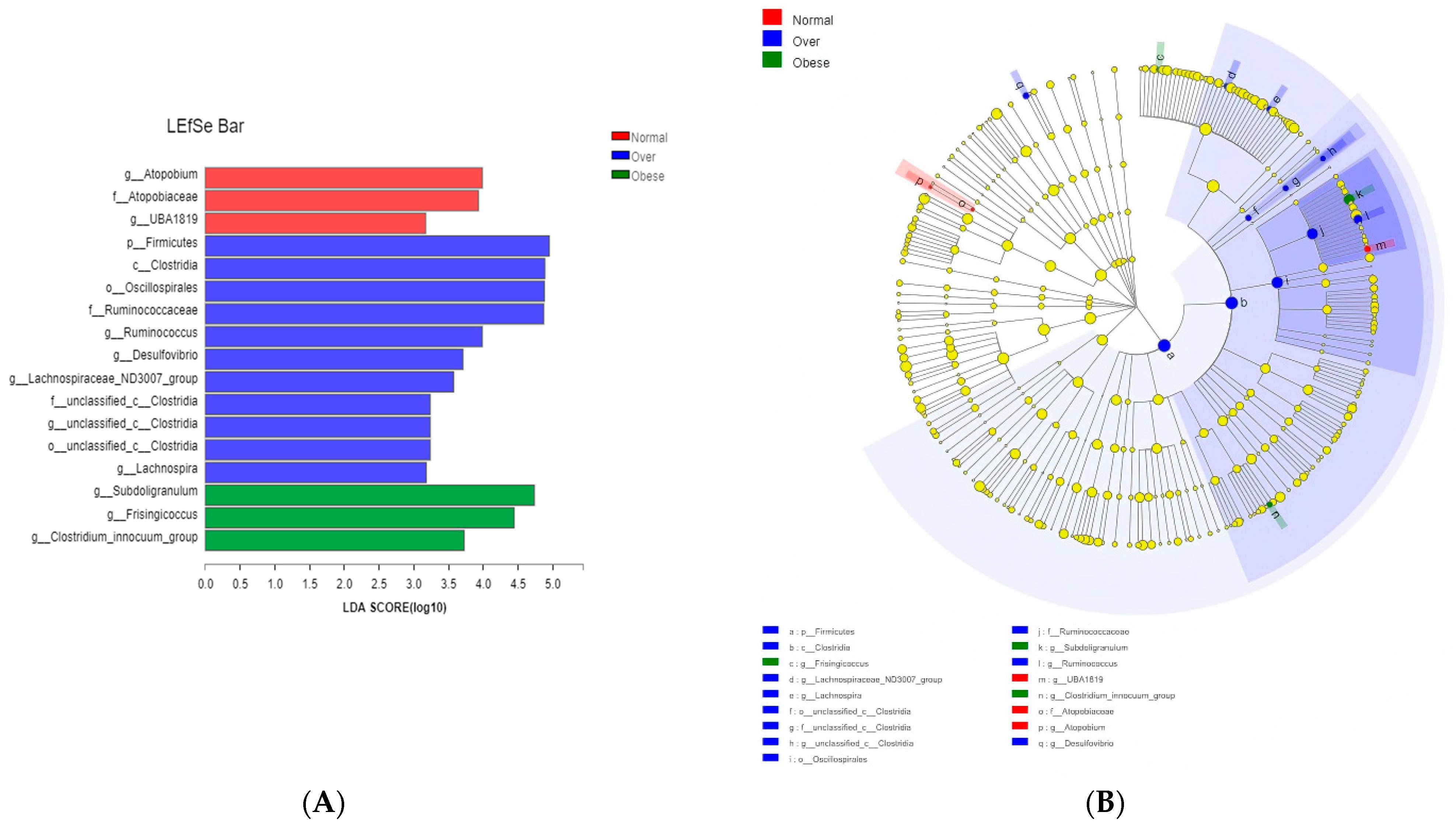 Toxics 13 00929 g006