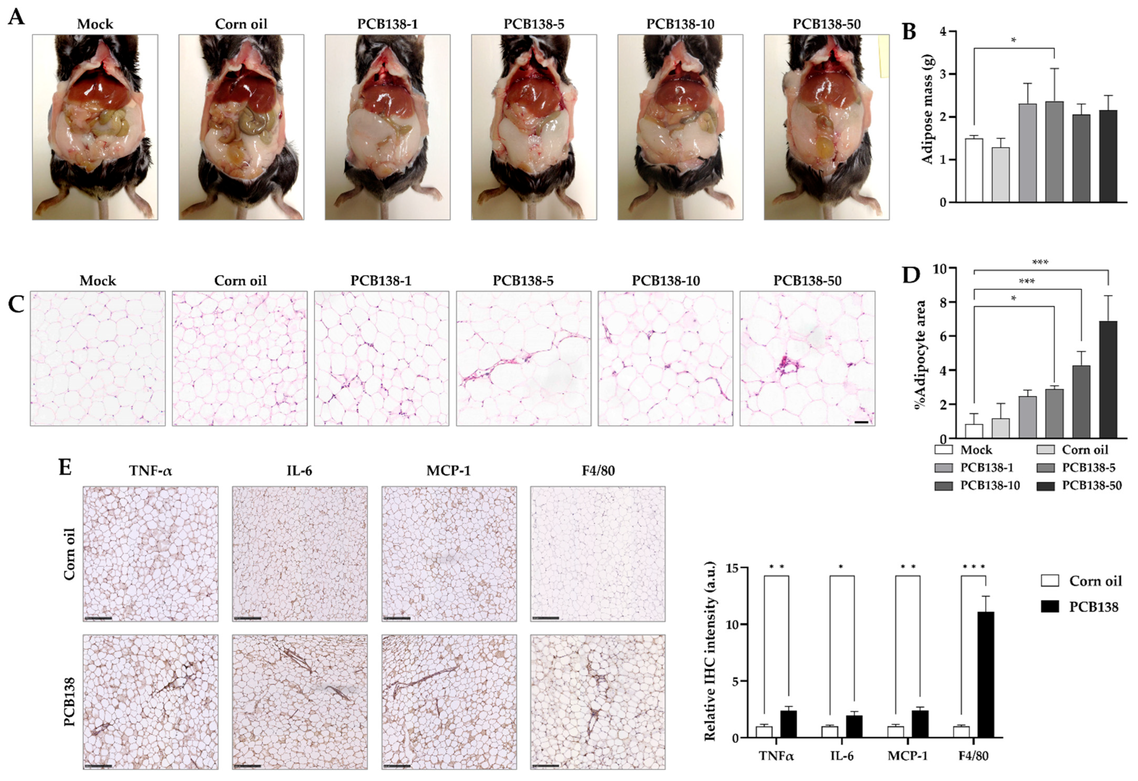 Toxics 13 00932 g004 Toxics 13 00932 g004